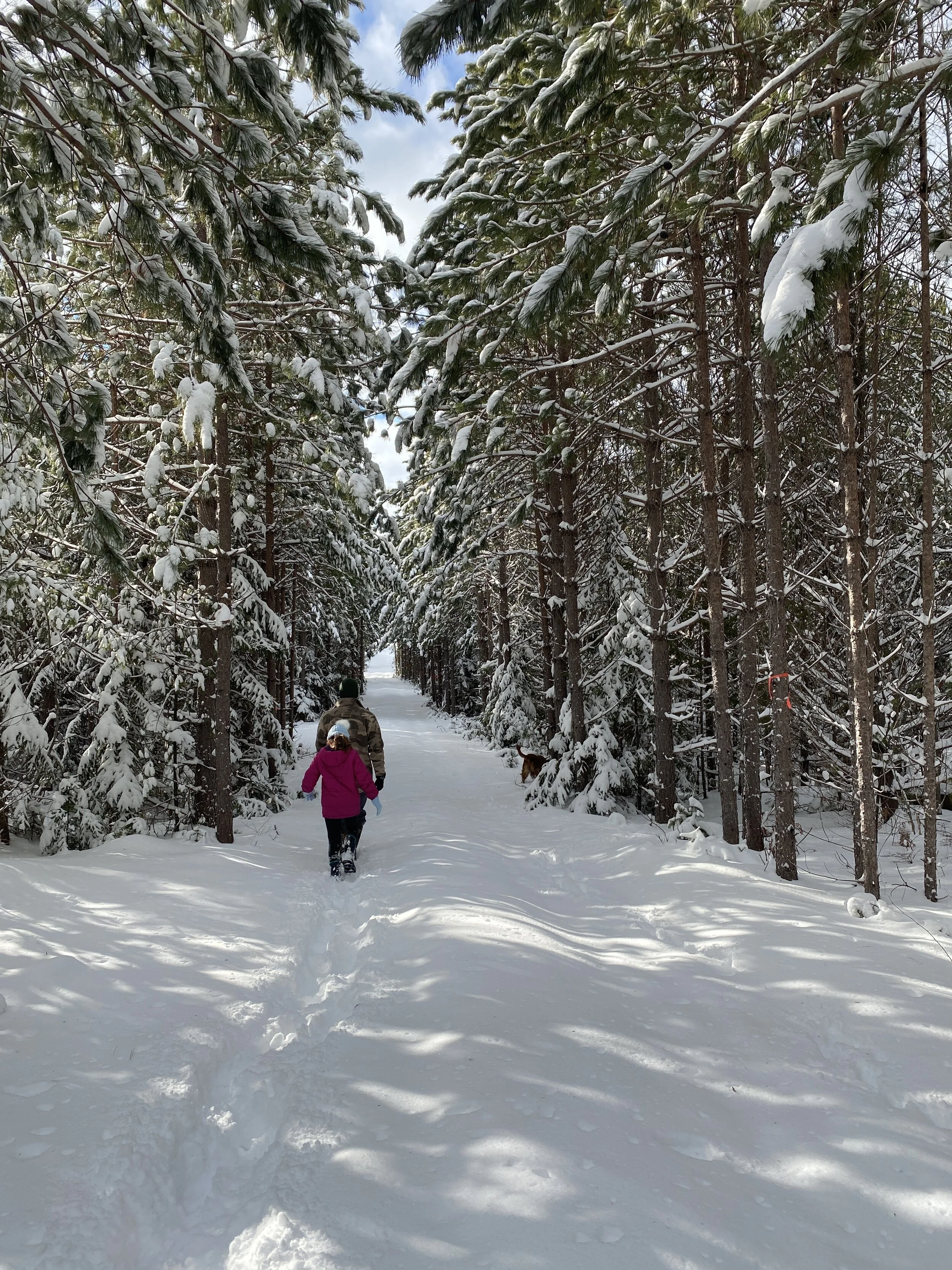 Finding Joy in the Winter Months 