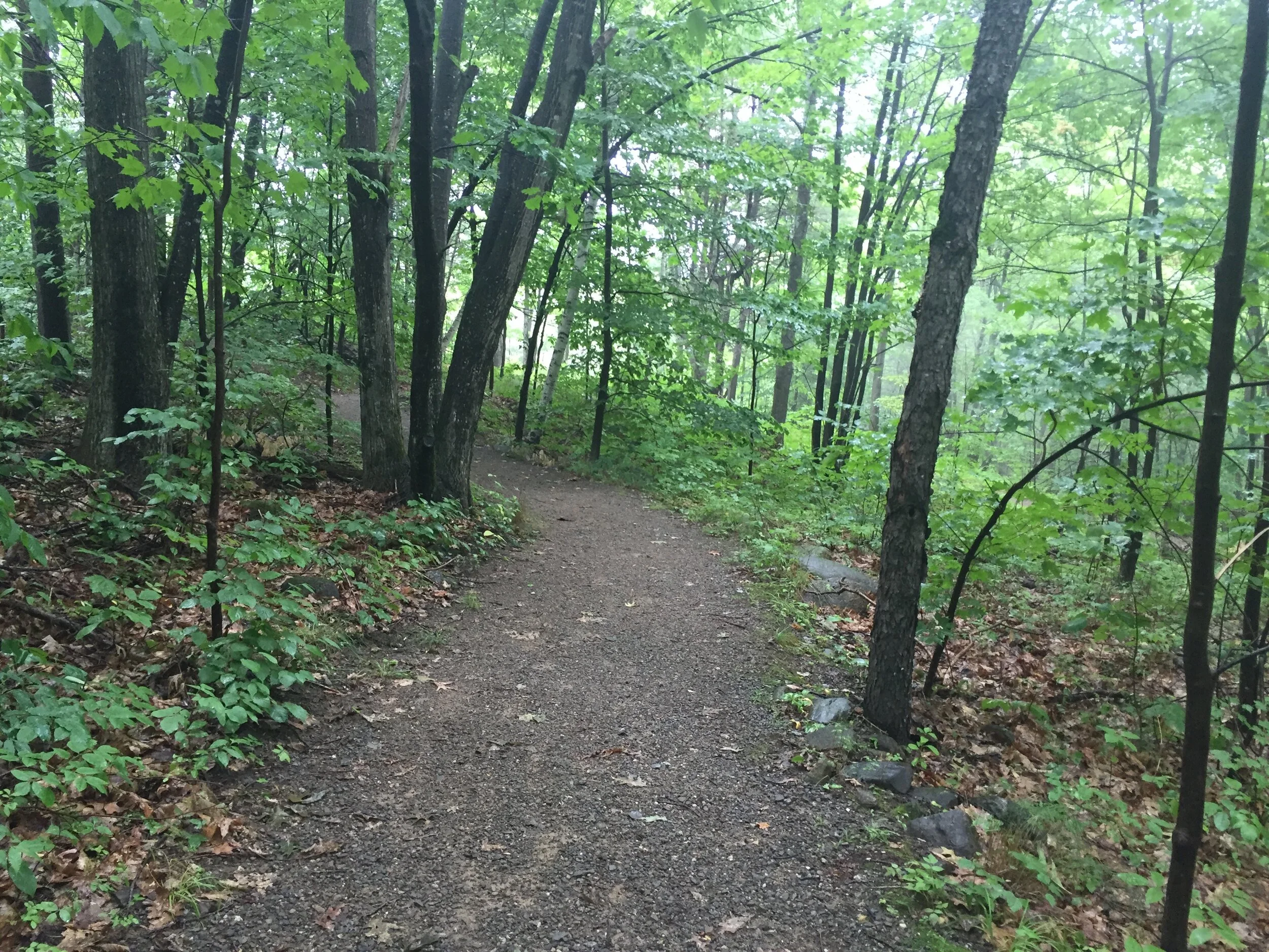 Hiking Trail Etiquette