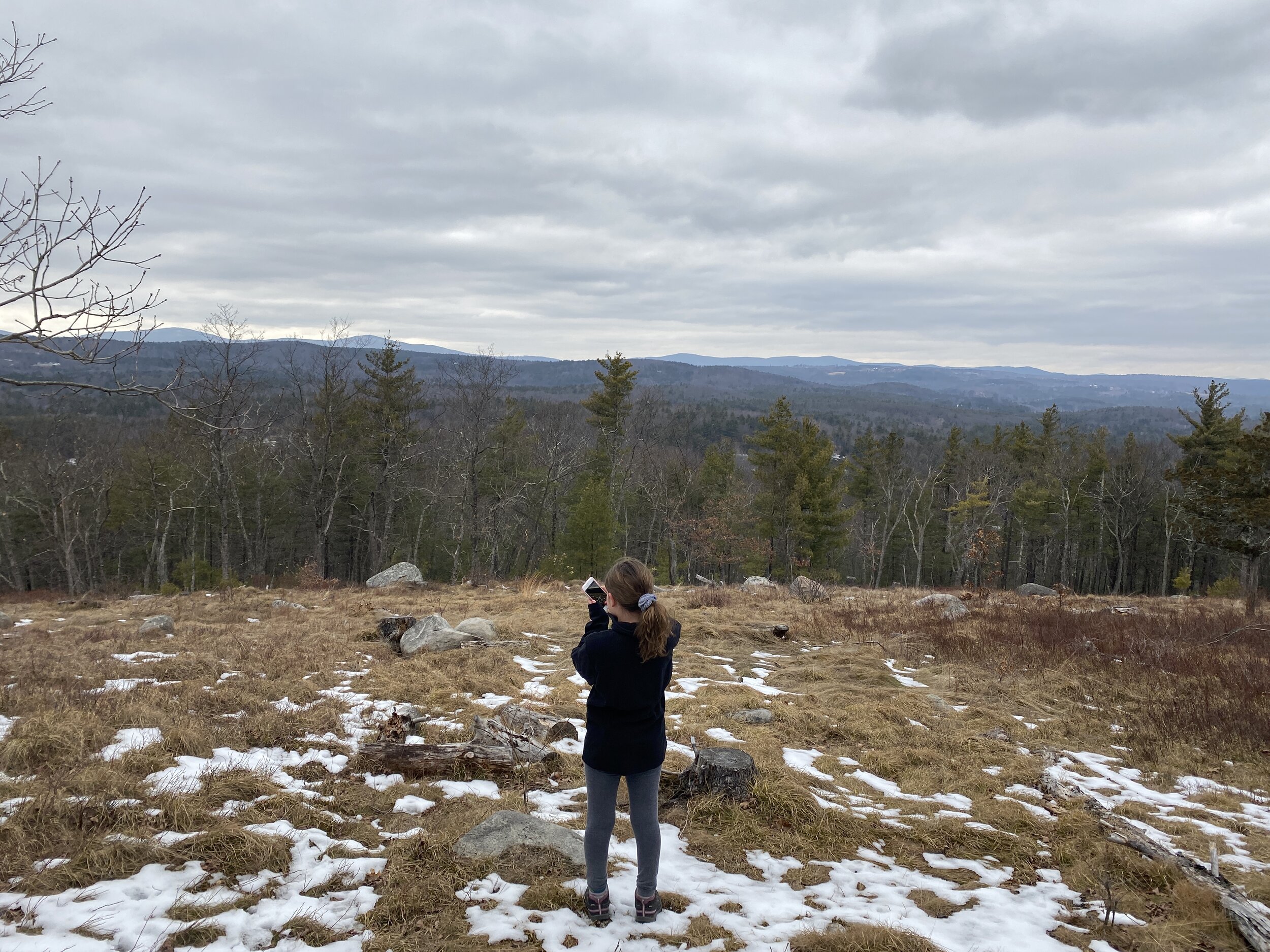 Hitchiner Town Forest 