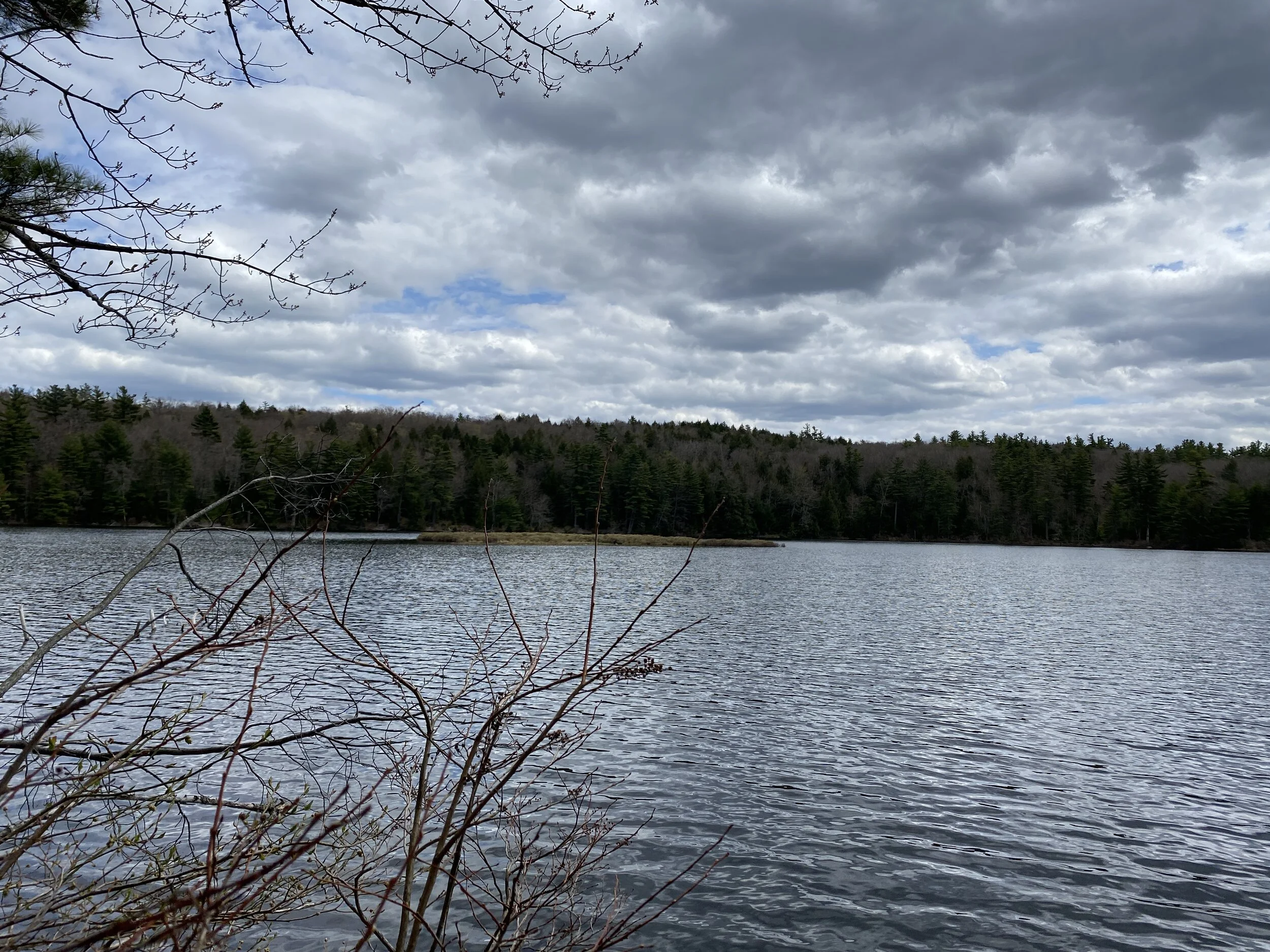 Cranberry Meadow Pond Trail  