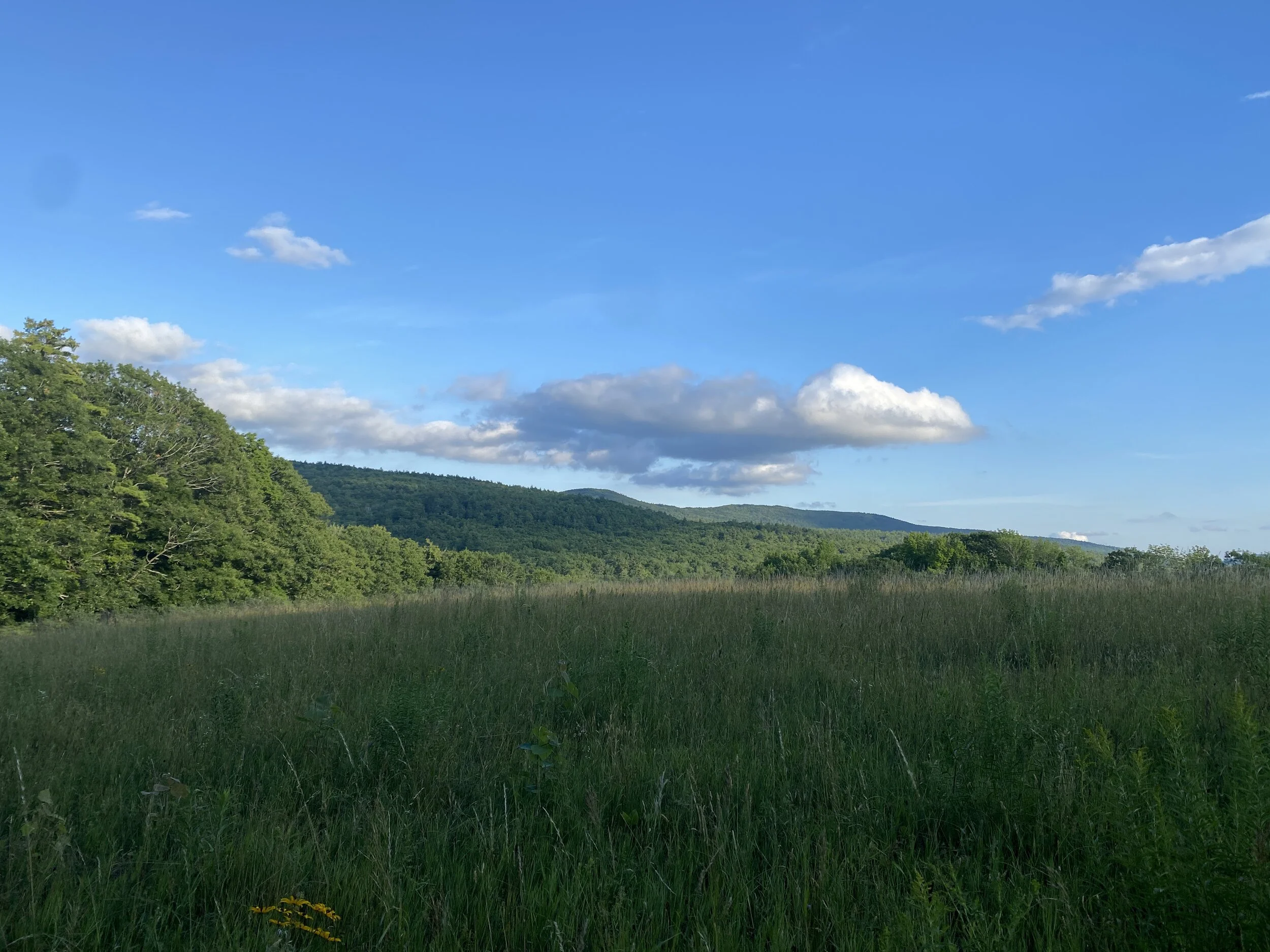 Cunningham Pond Trail 