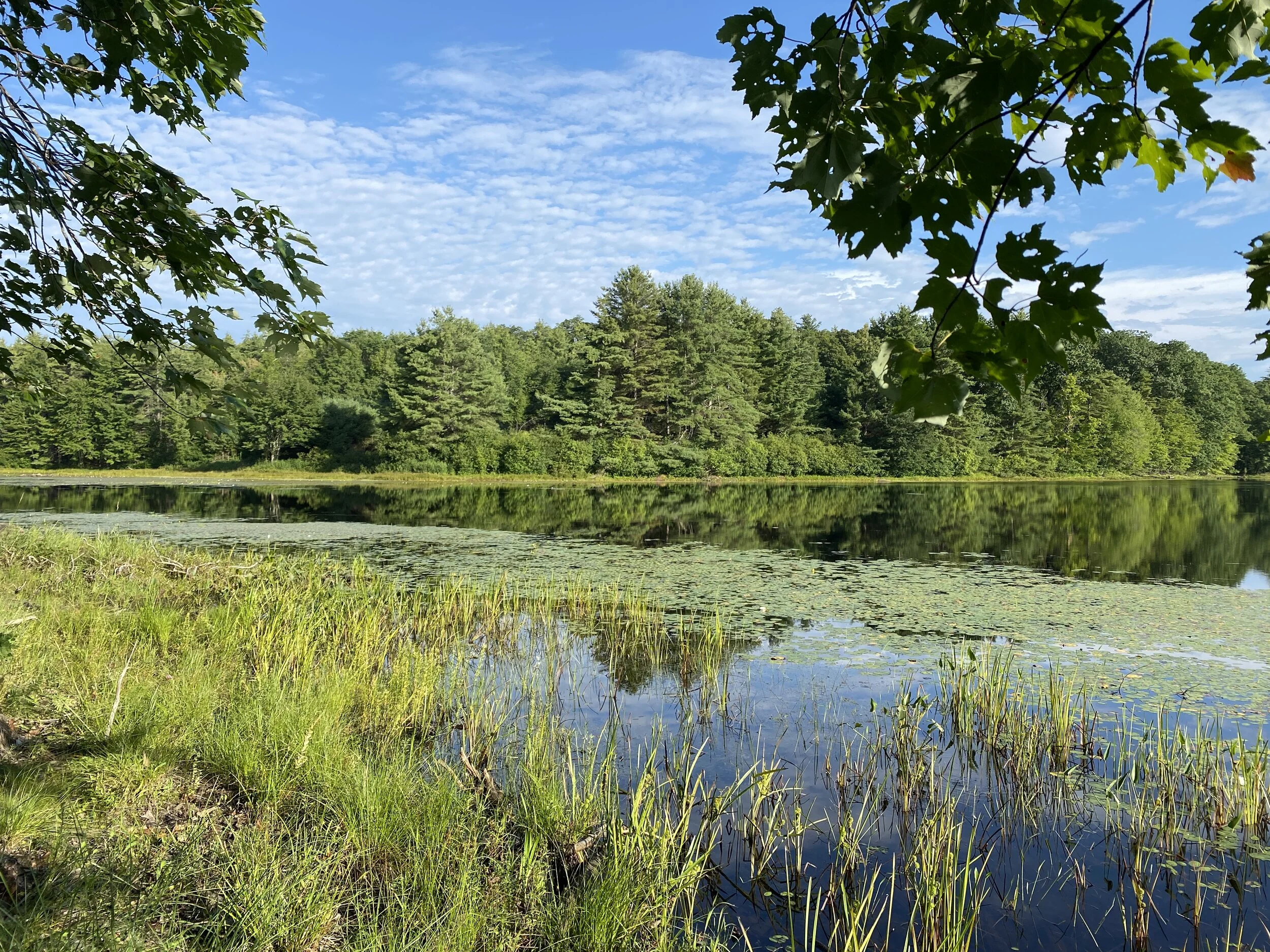 Gramwick Trail at Mountain Brook Reservoir