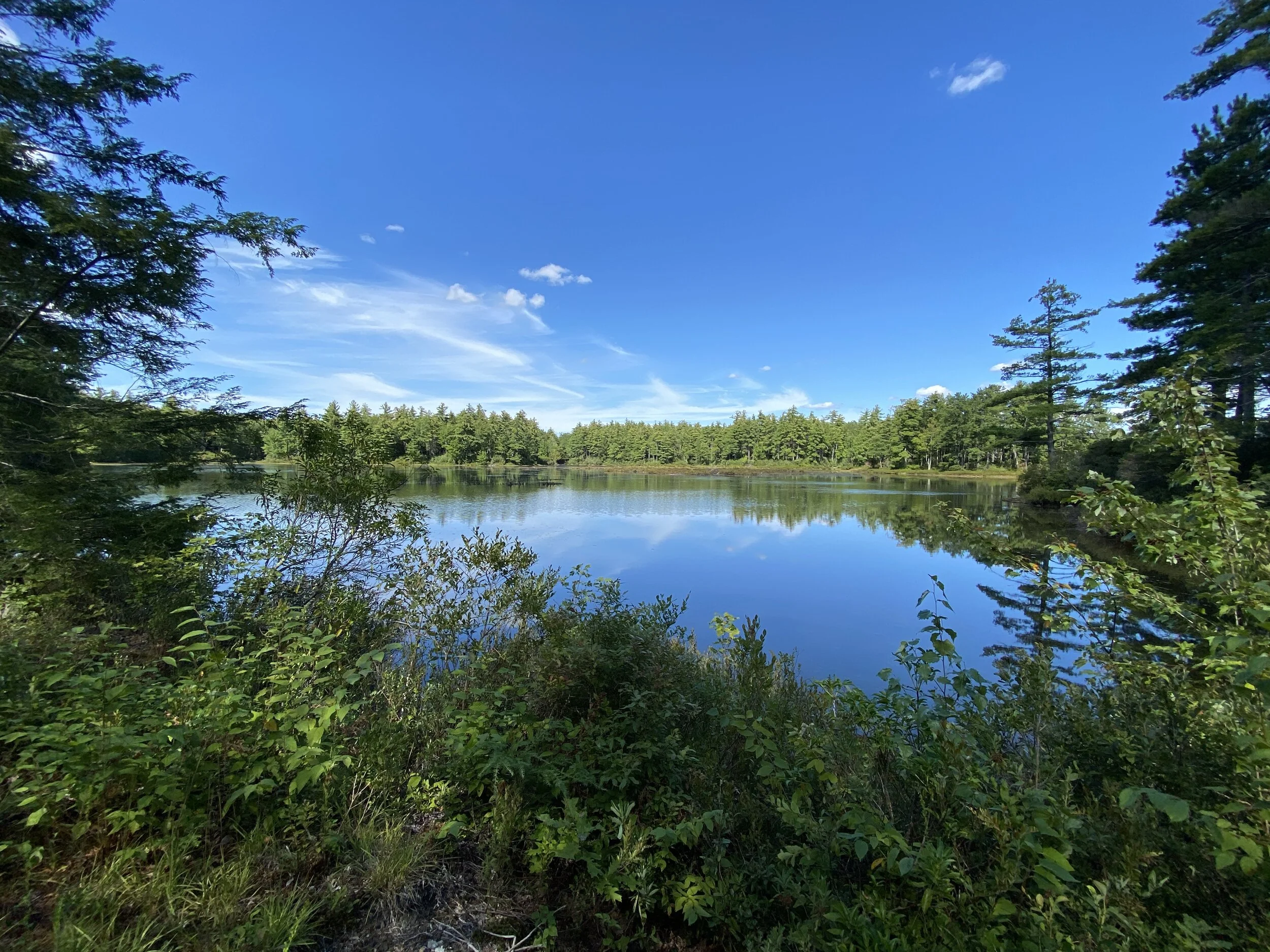 Greenville Mason Rail Trail