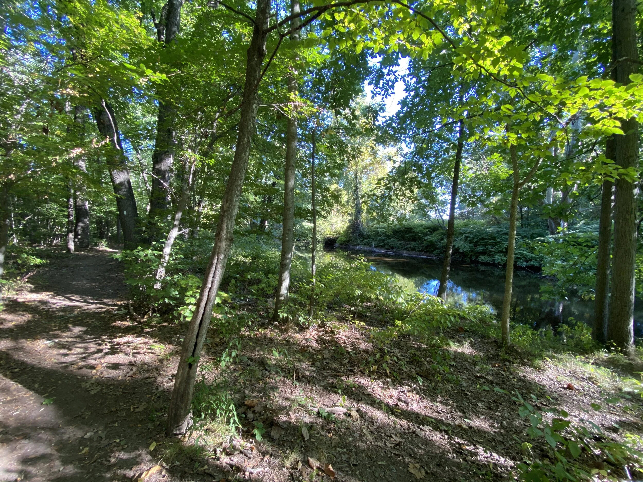 Souhegan River Trail