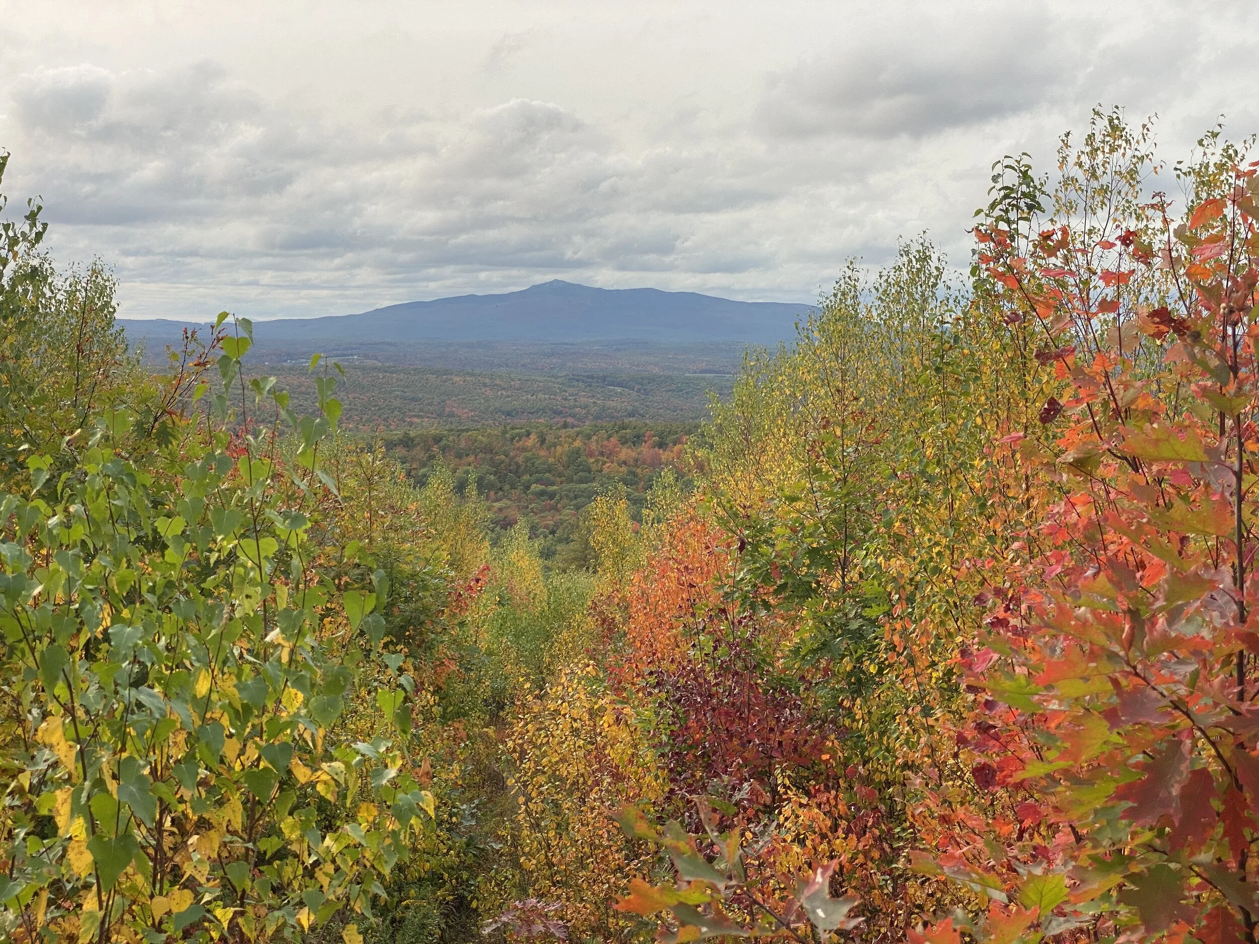 Berry Pasture Trail