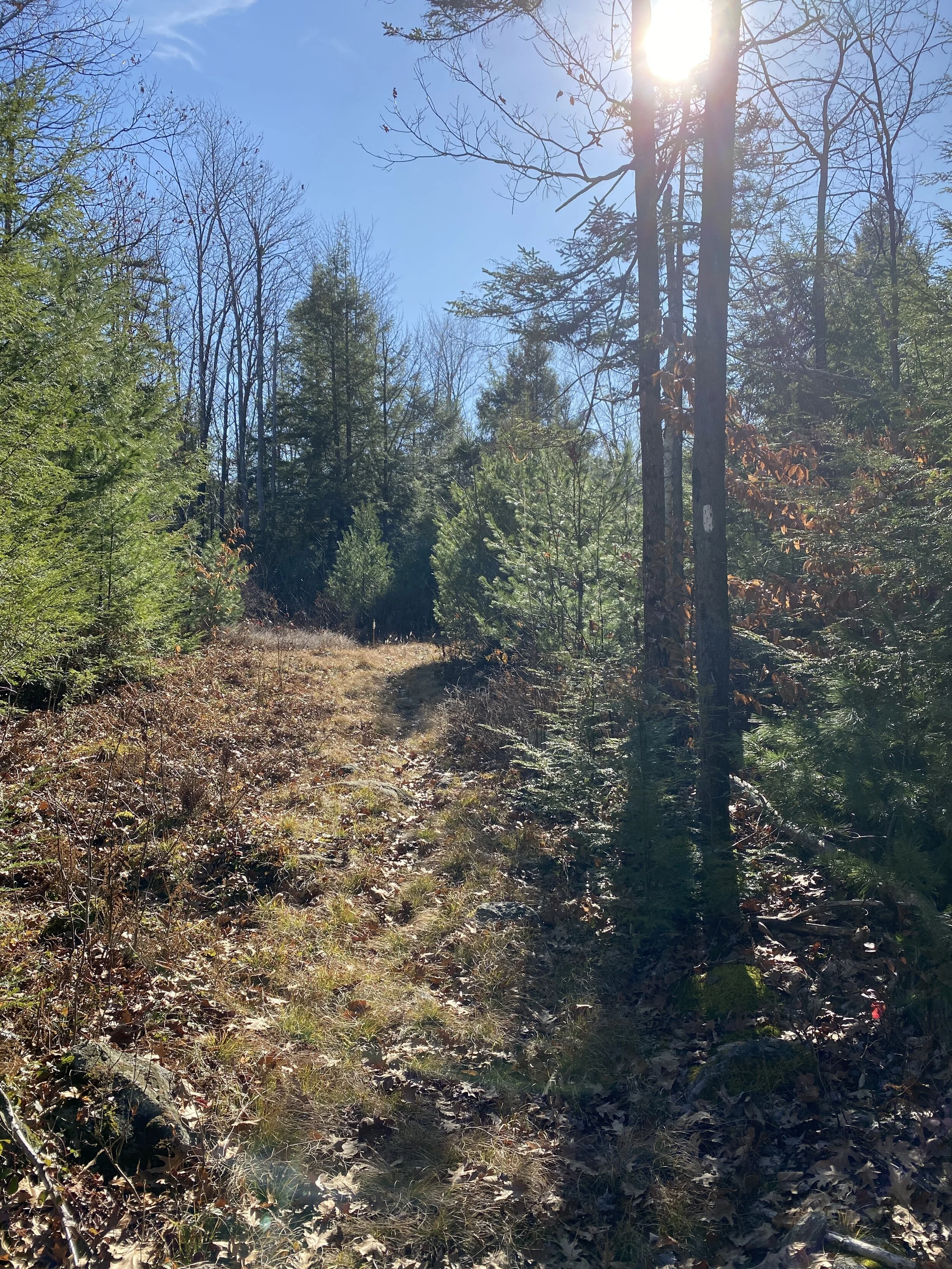 Frank Robbins Trail