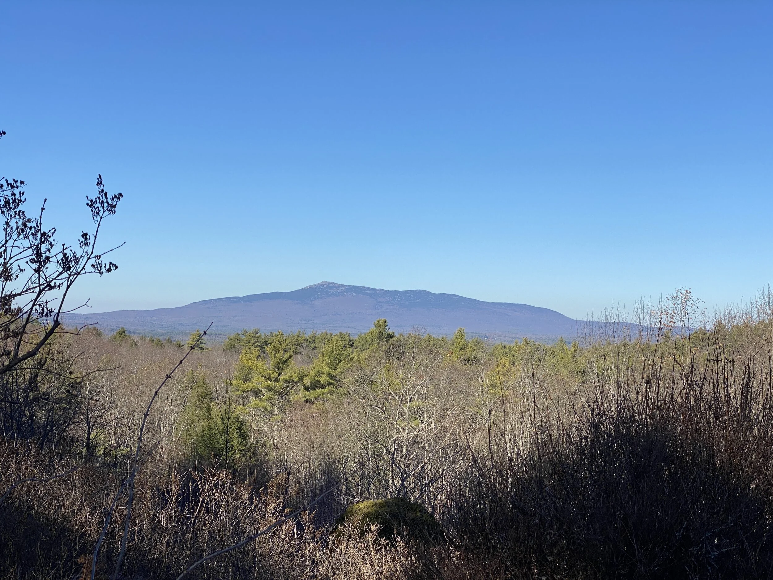 Cathedral of the Pines Hiking Trails 