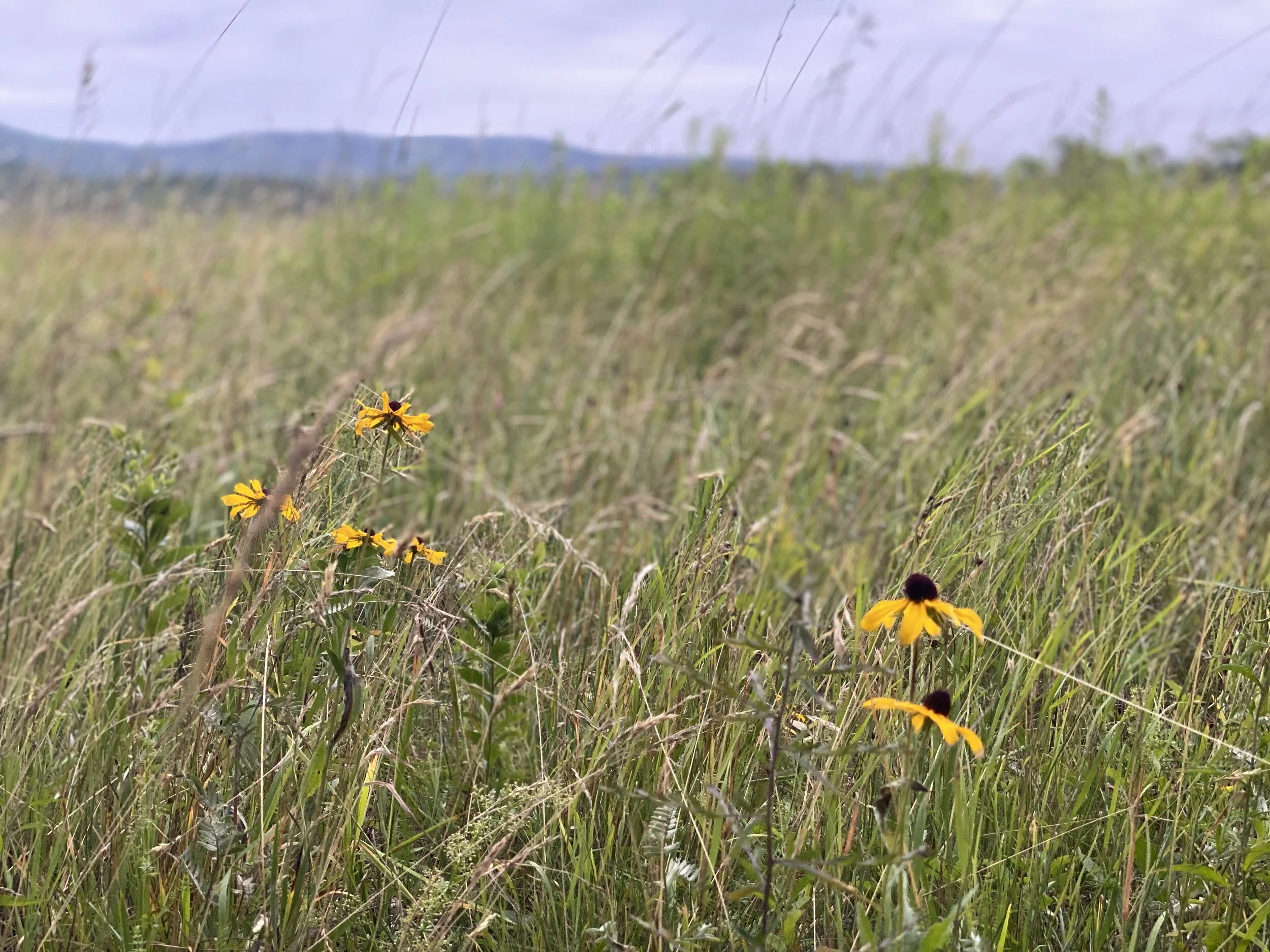 Why I Don’t Have a Group of Girlfriends.