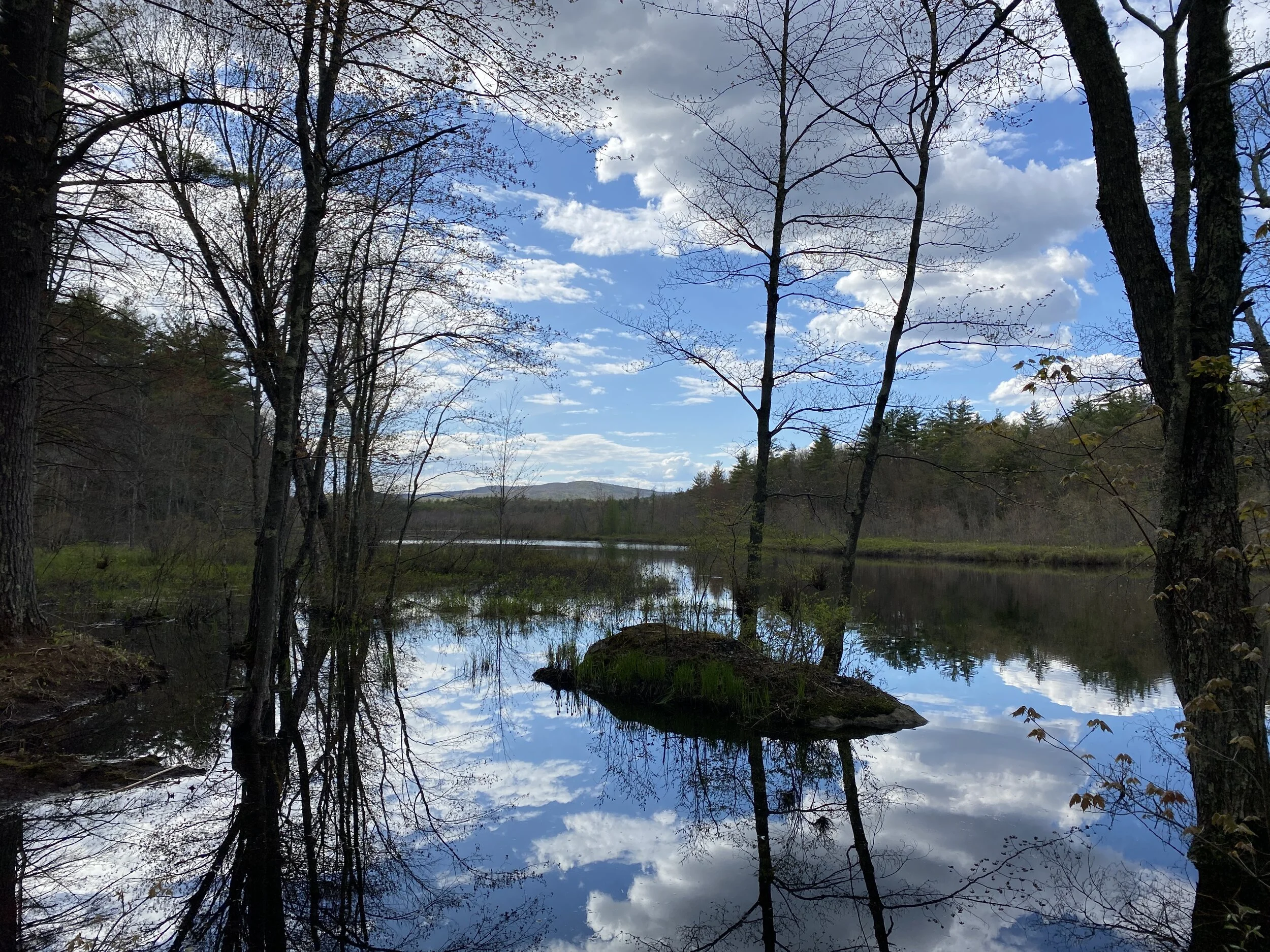 Hiroshi Hayashi Conservation Land Trail