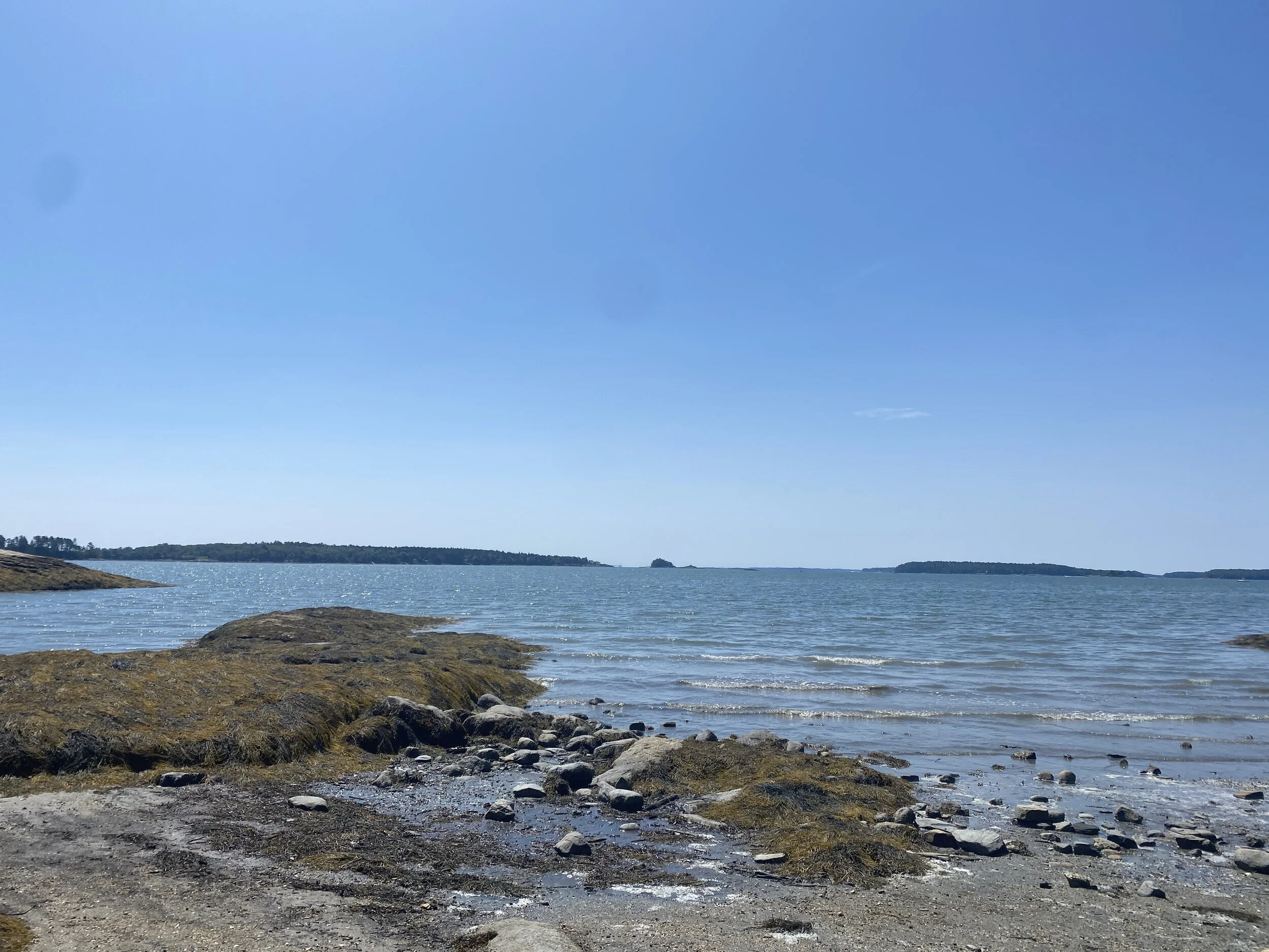 Wolfe’s Neck Woods State Park