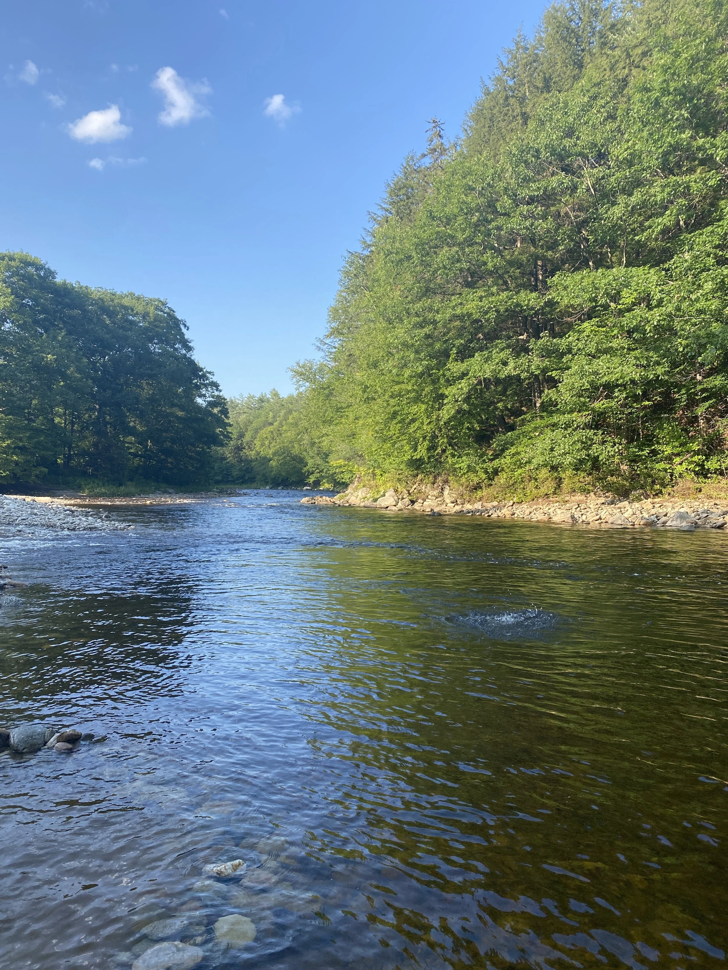 Winhall Brook Campground 