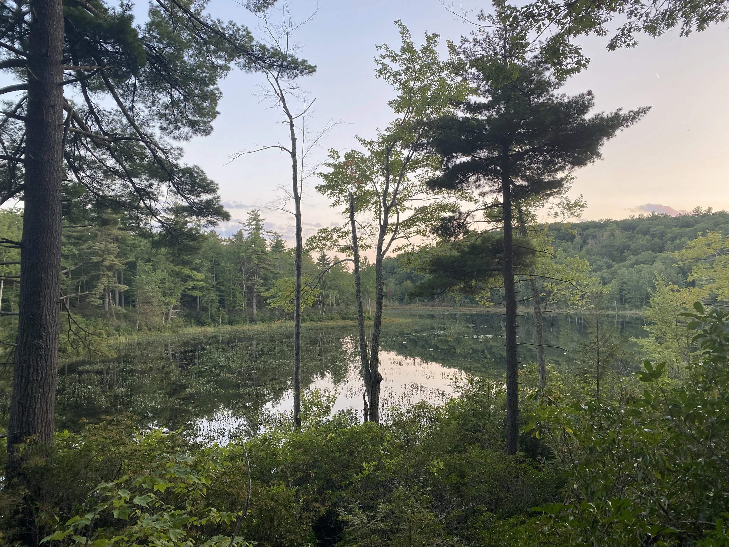 Nussdorfer Nature Area