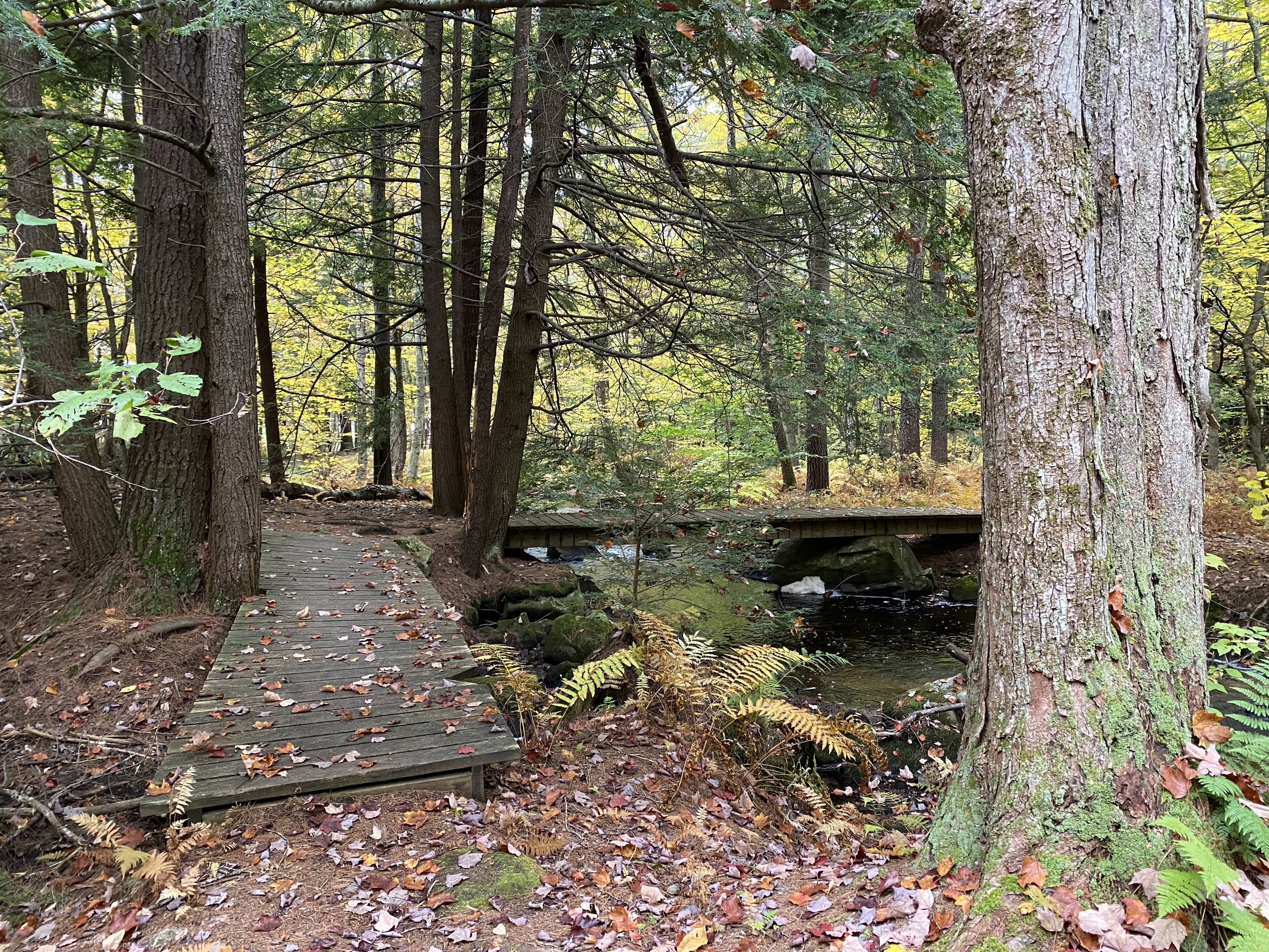 Wheeler trail