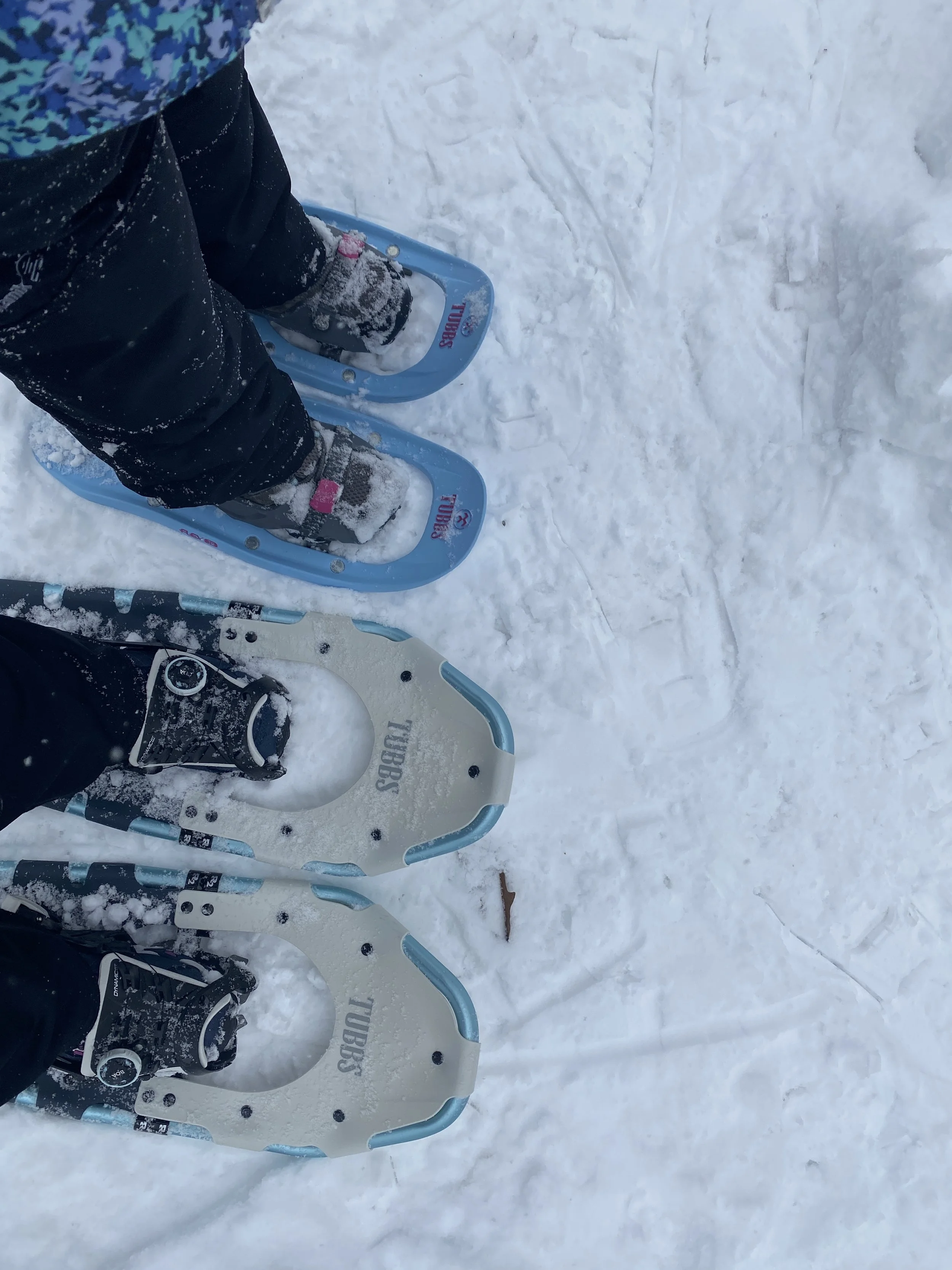5 Places to Snowshoe in the Monadnock Region