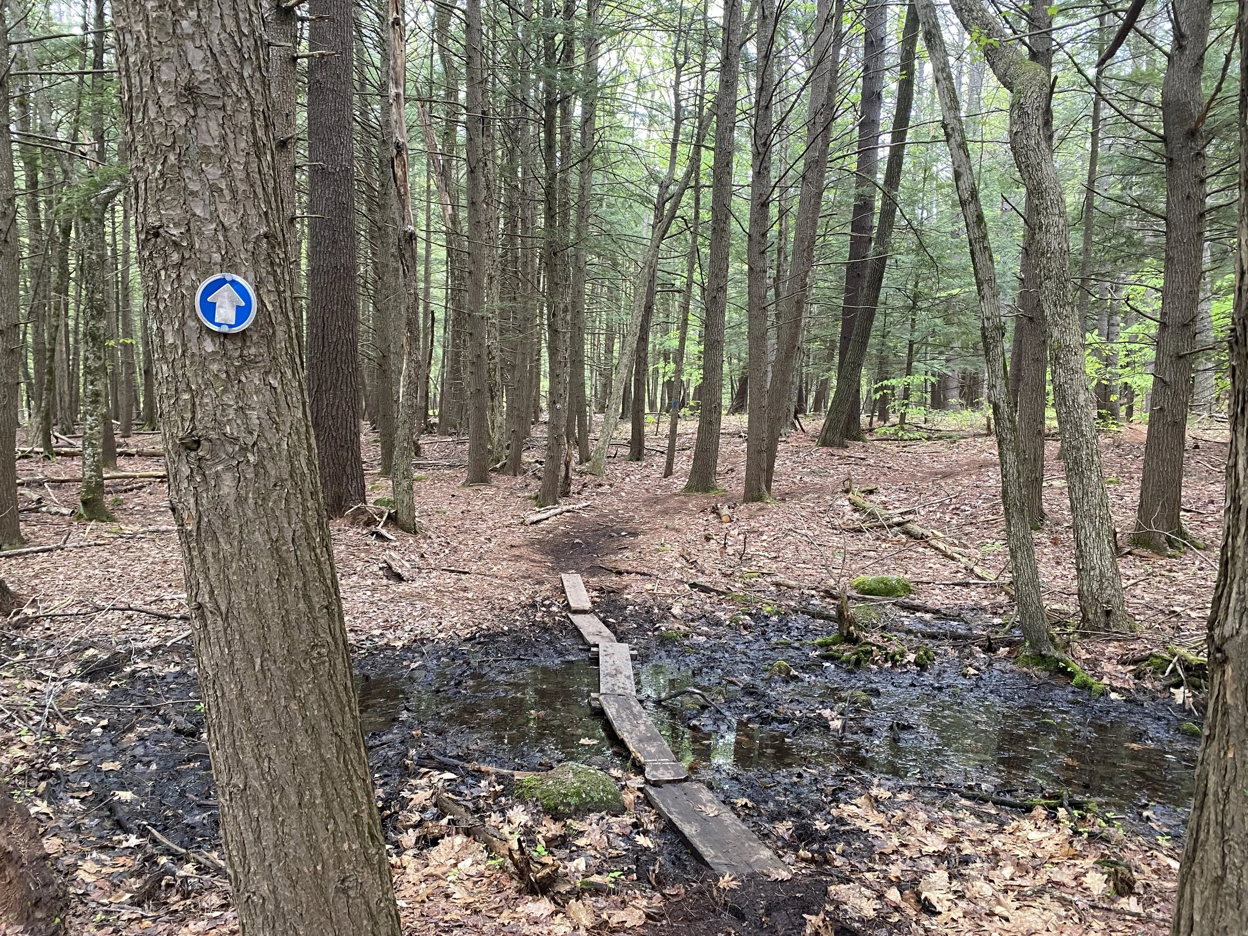 Seccombe Trail