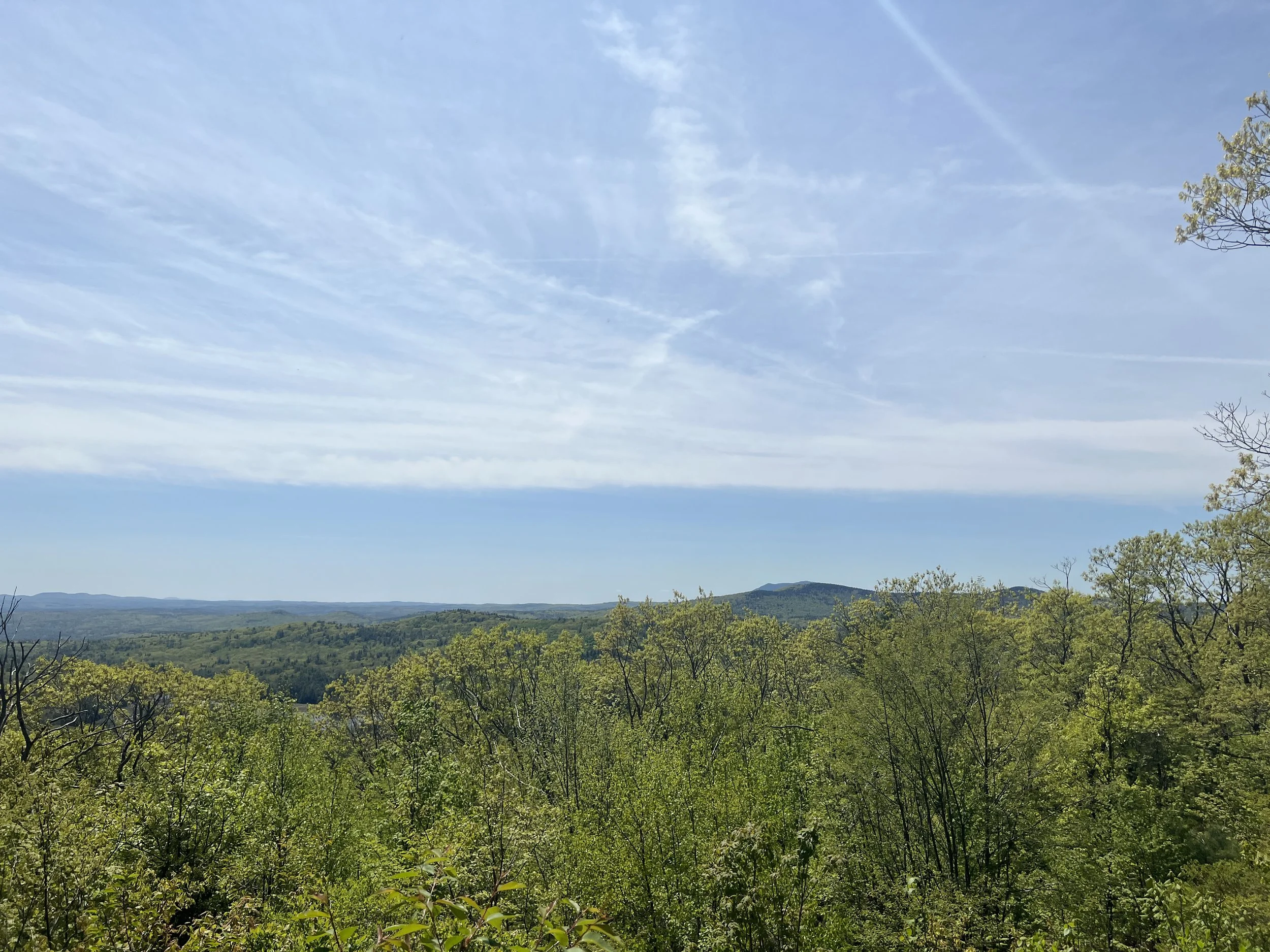 Mill Pond and Goodhue Hill Trails.