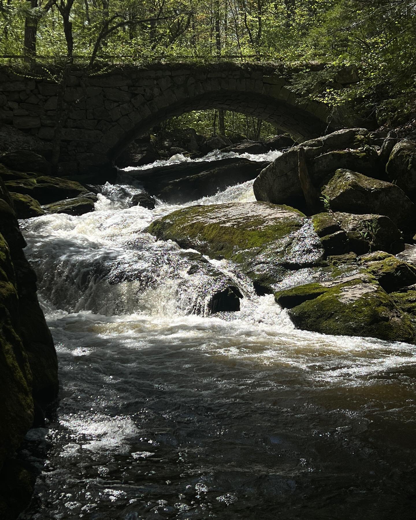 #waterfallwednesday #waterfallsofnh #waterfall #explorenh #naturestherapy #happyplace