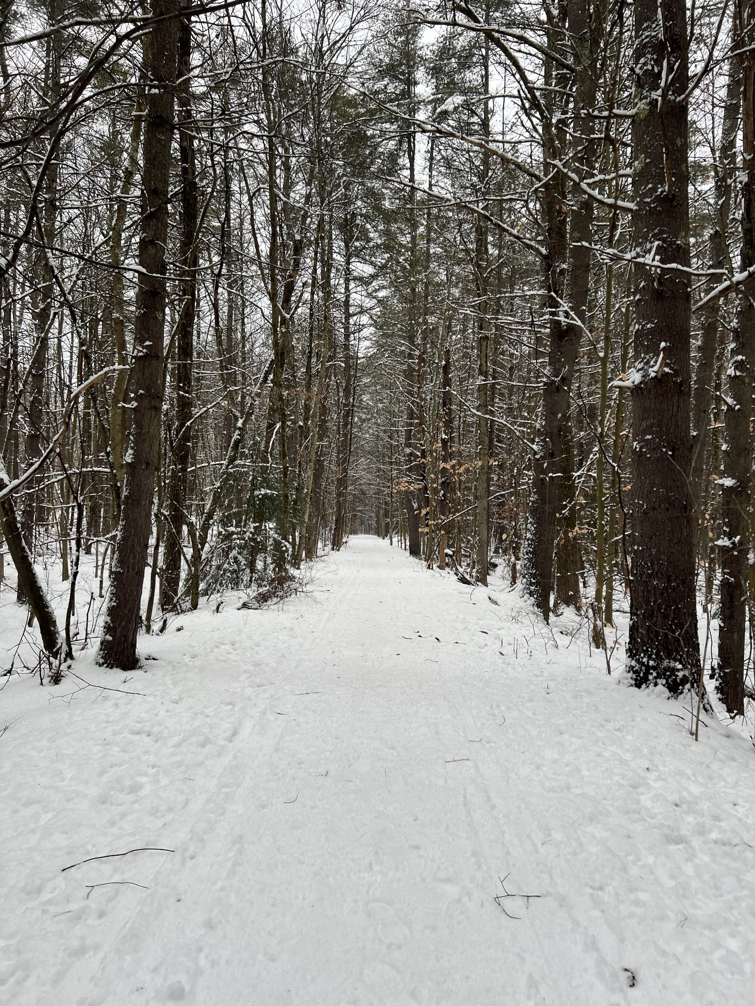 Peterborough Common Pathway and Old Railroad trail 