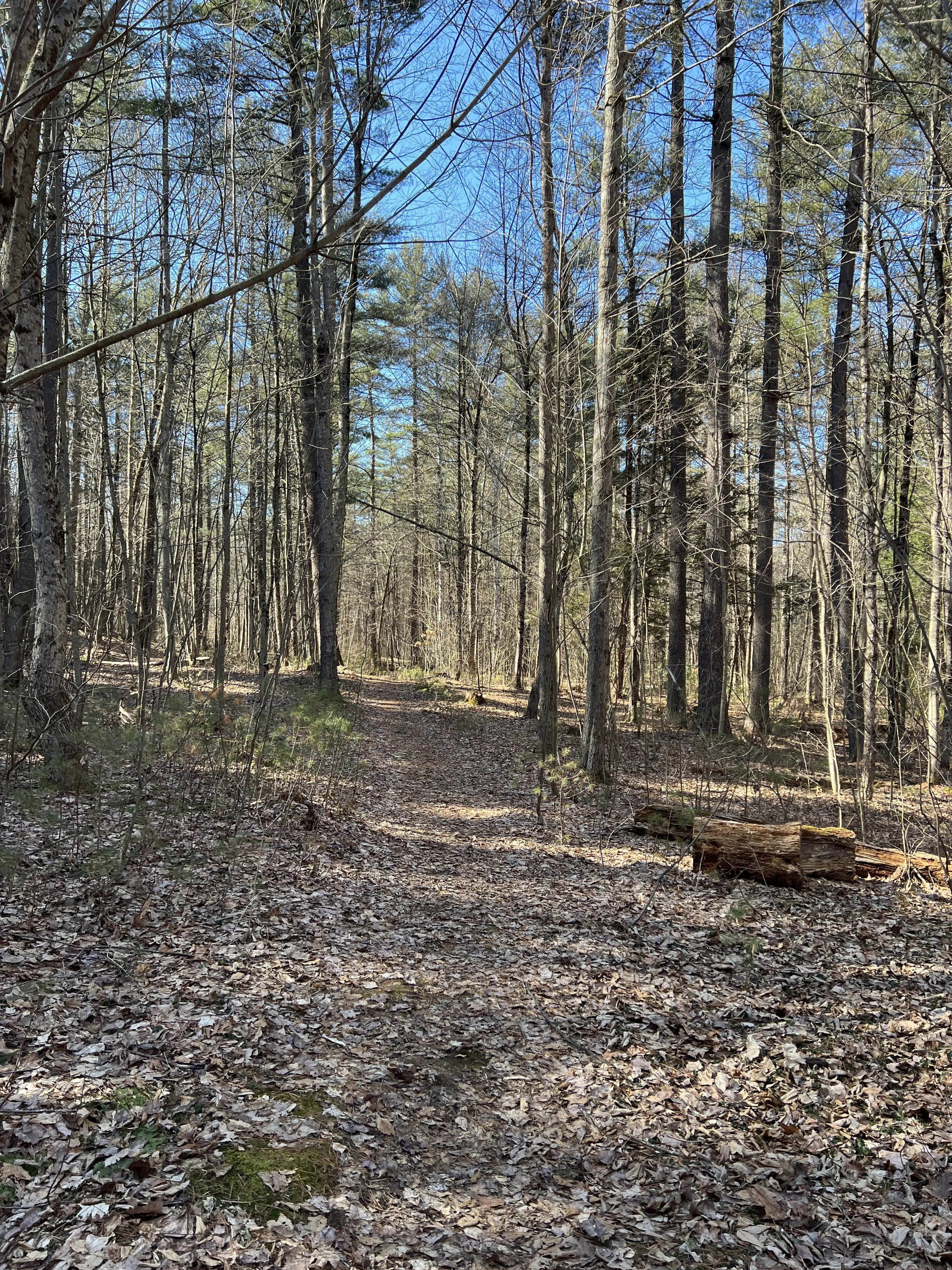 Gelazauskas Preserve Loop