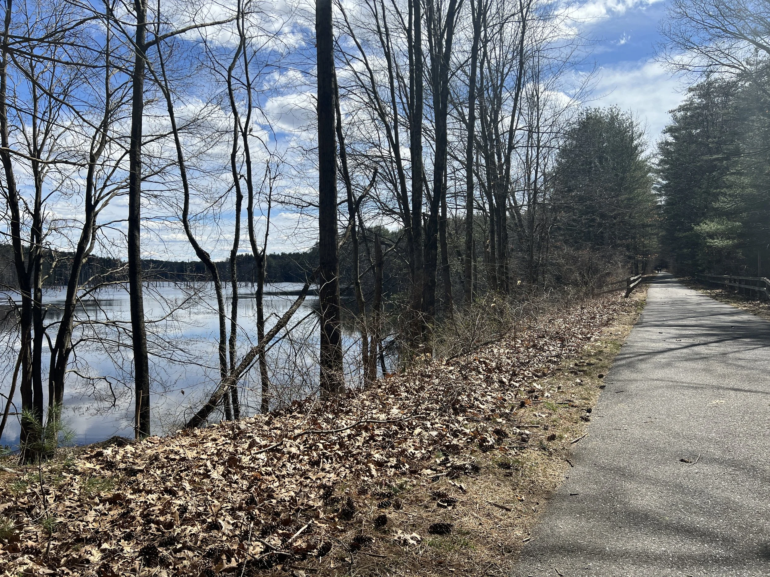 Nashua River Rail Trail 