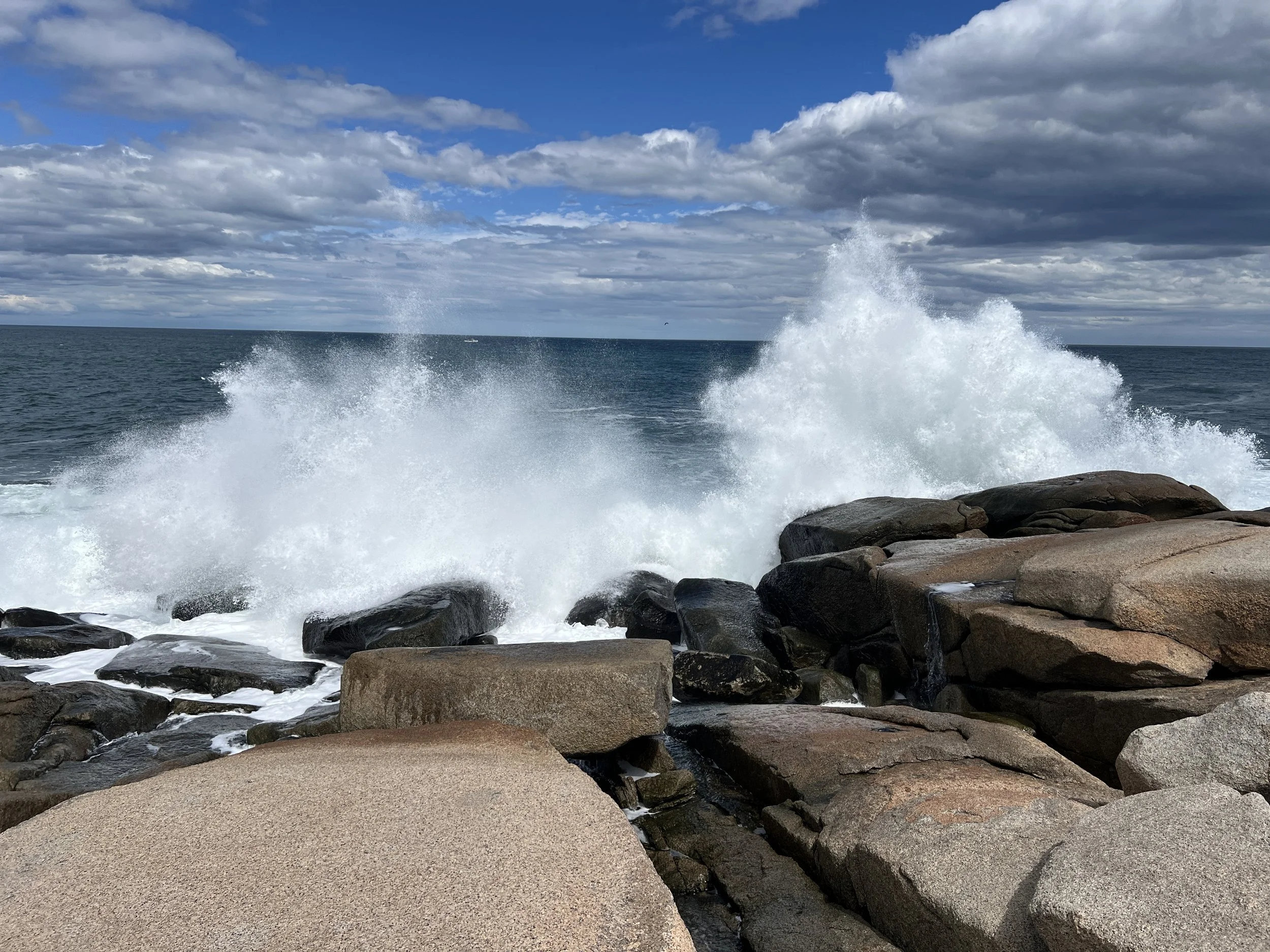 Halibut Point State Park 