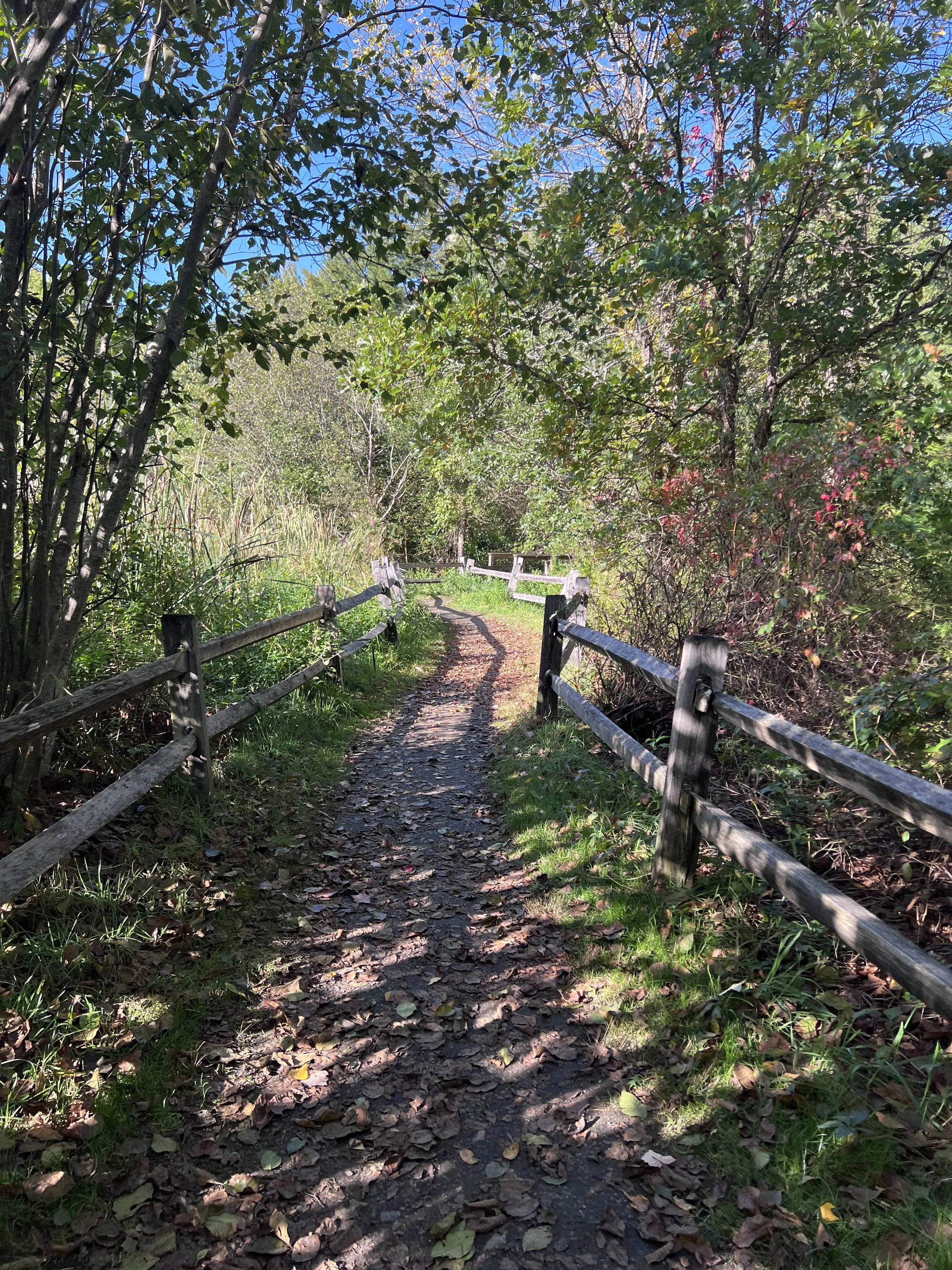Benson's Park