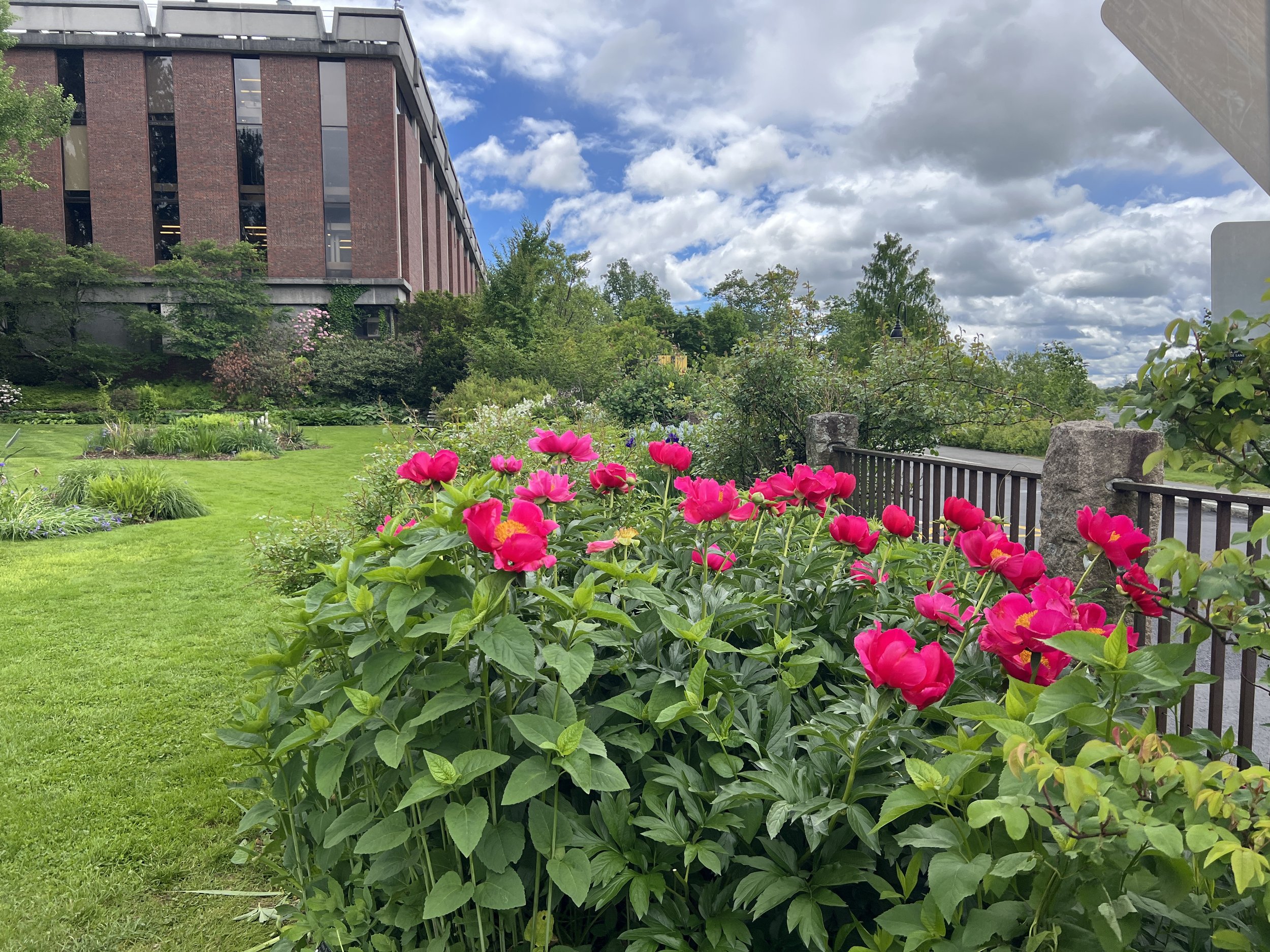 Exploring Northhampton and More