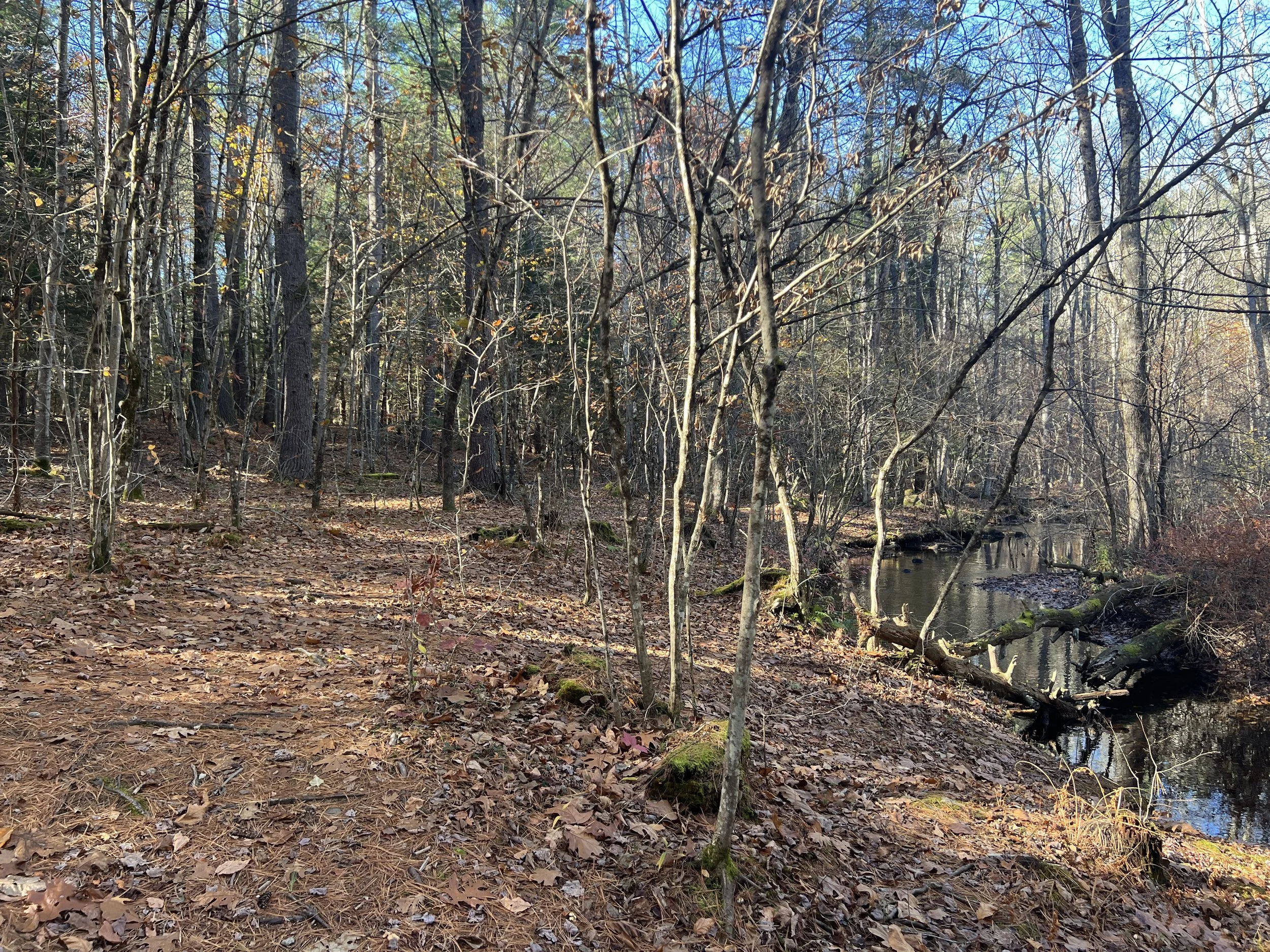 Van Loan Preserve