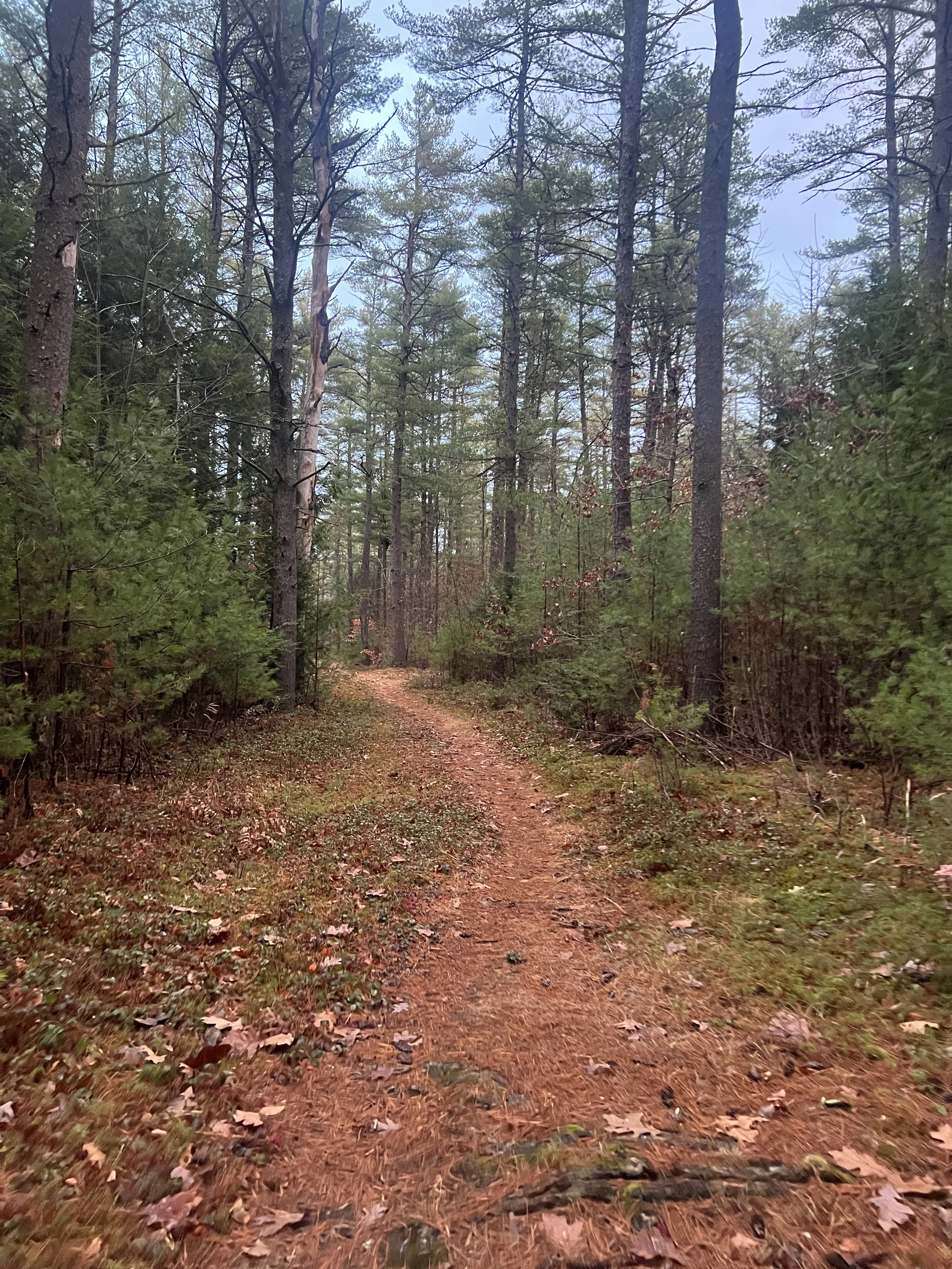 Howard Park 