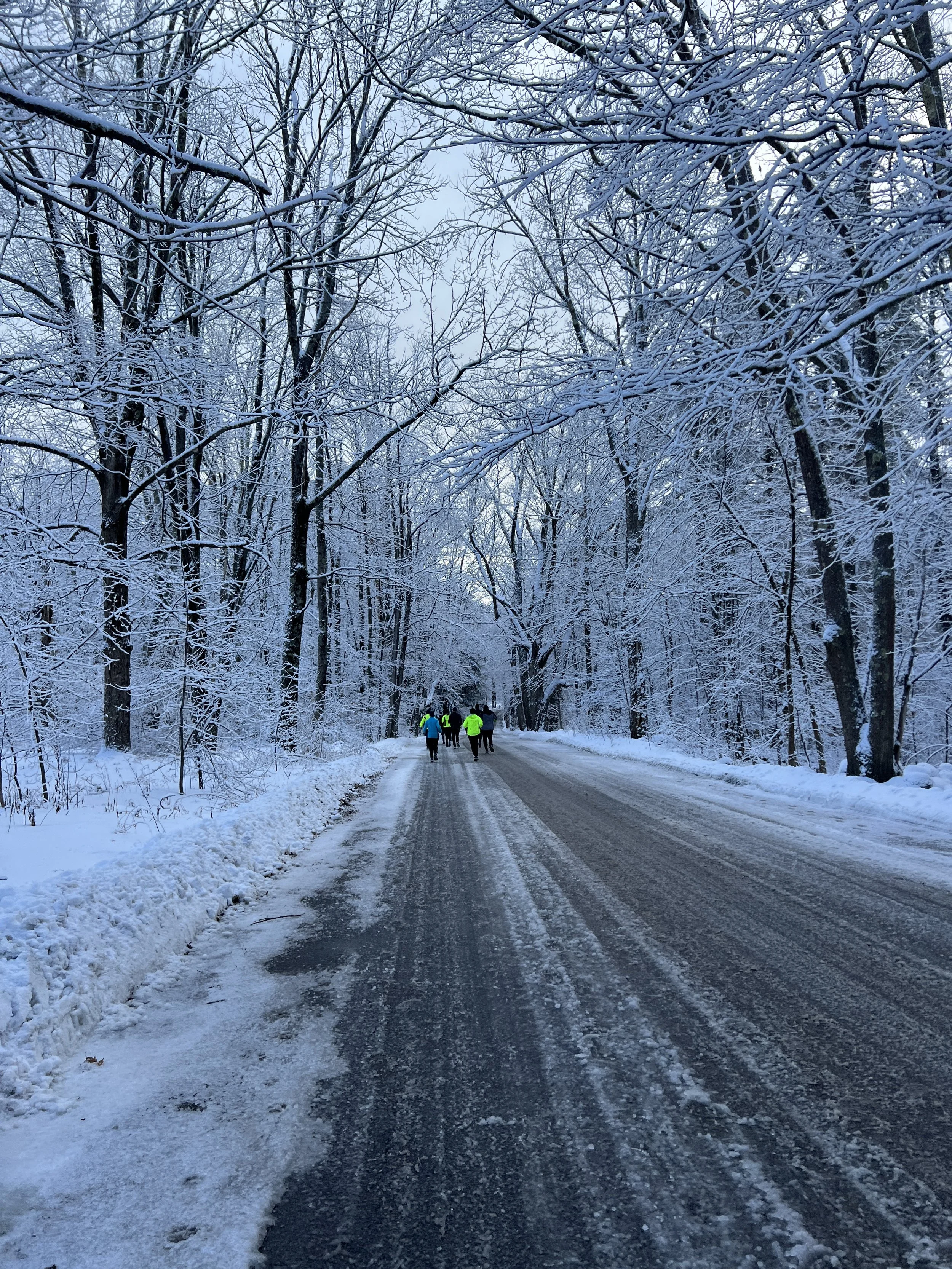 My Goal of Running a Race a Month in 2025