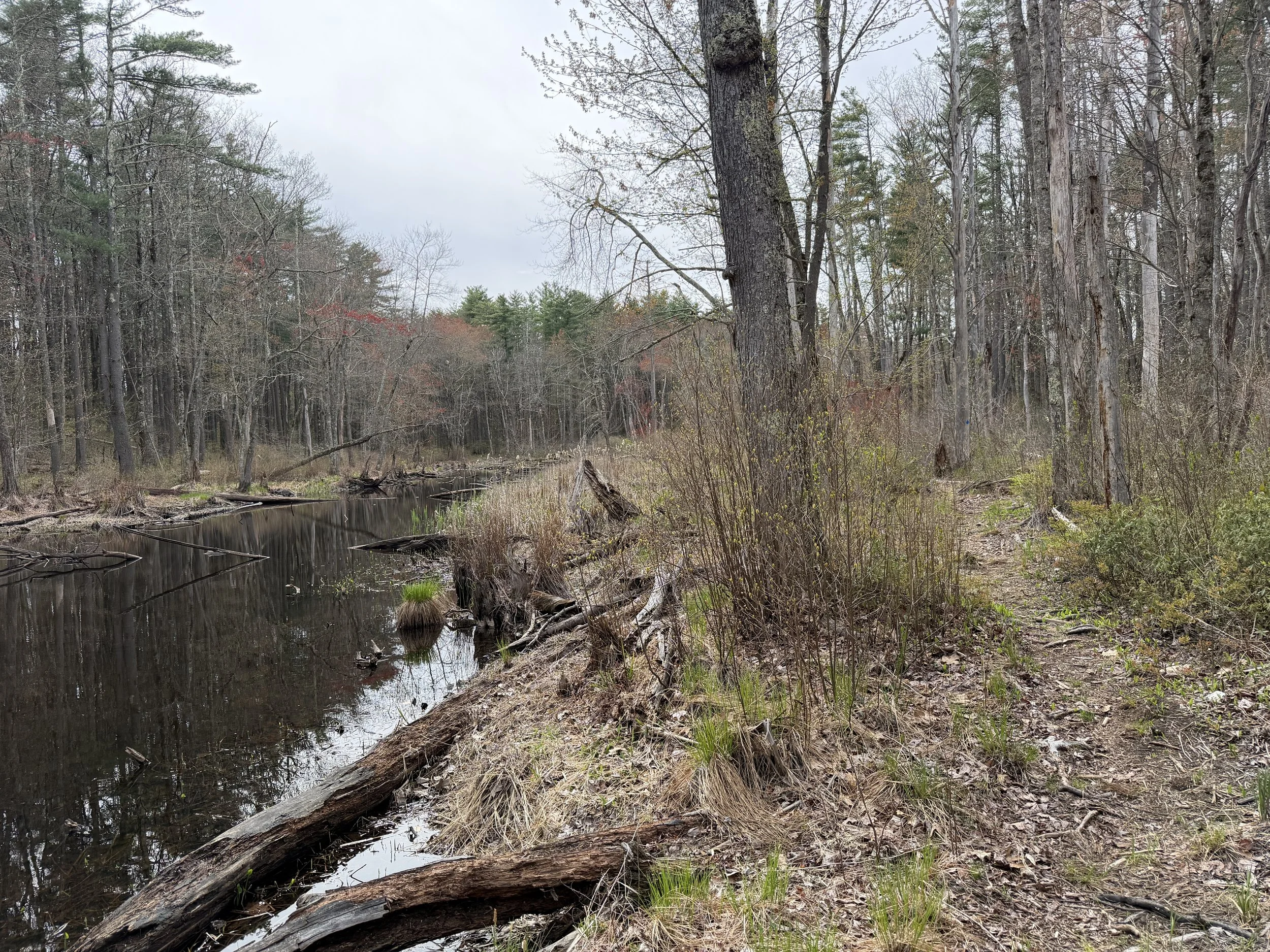 Cowdrey Conservation Area 