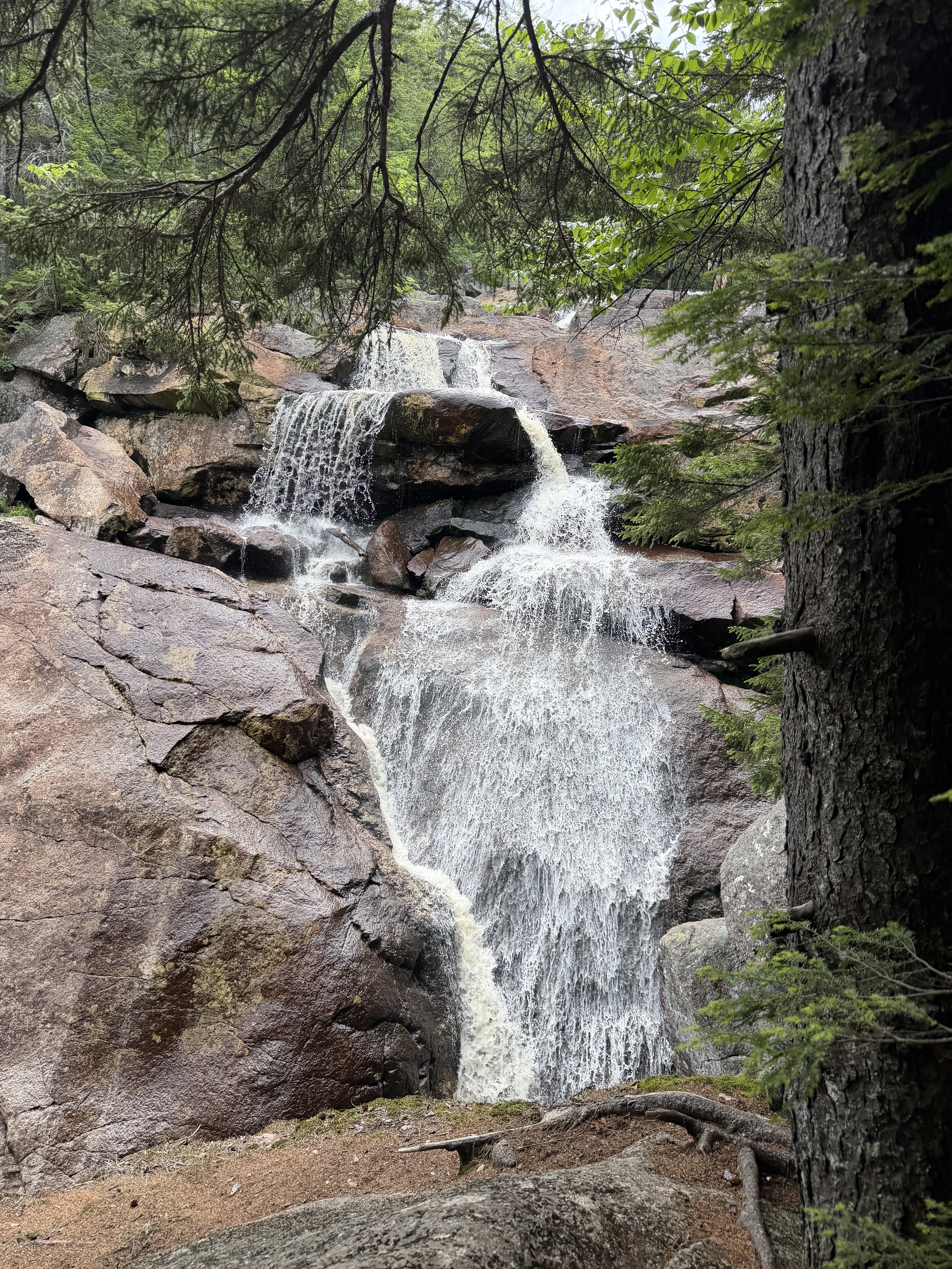 Georgiana and Harvard Falls 