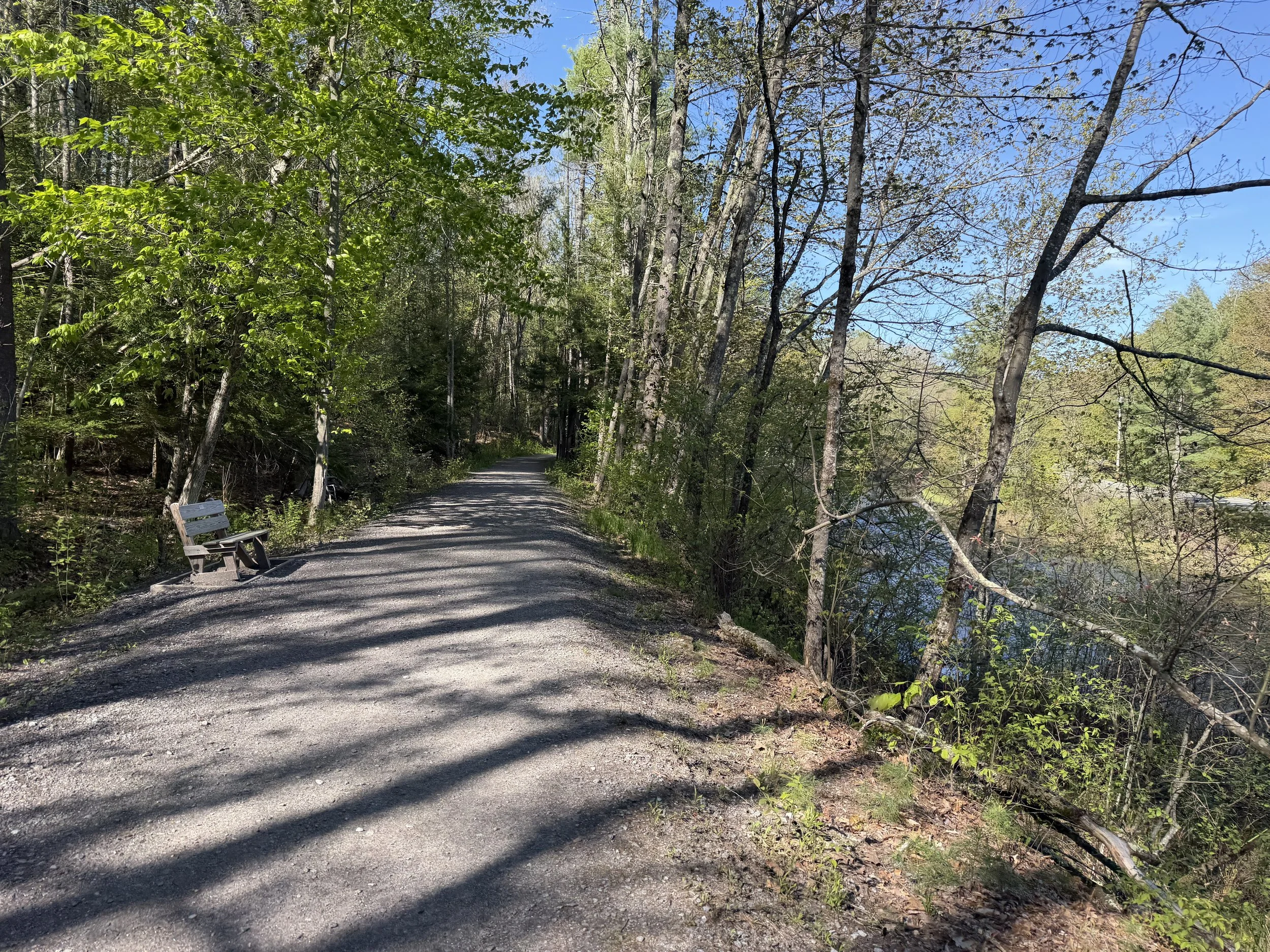 Exploring New Boston