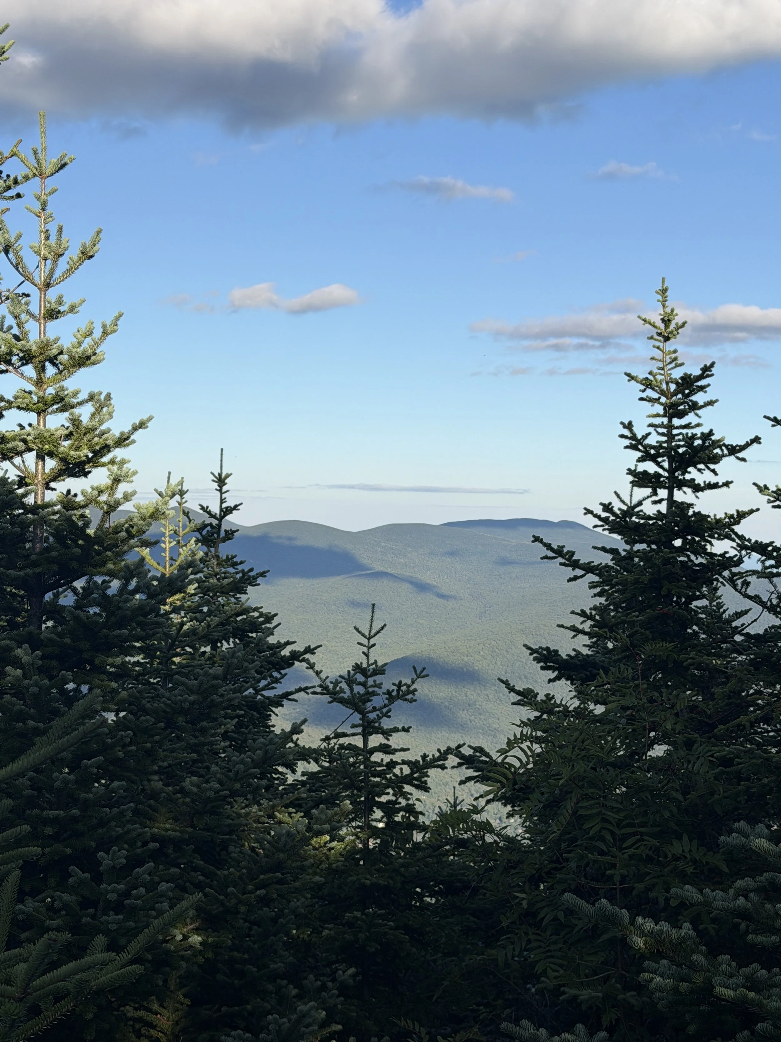 Mount Tecumseh 