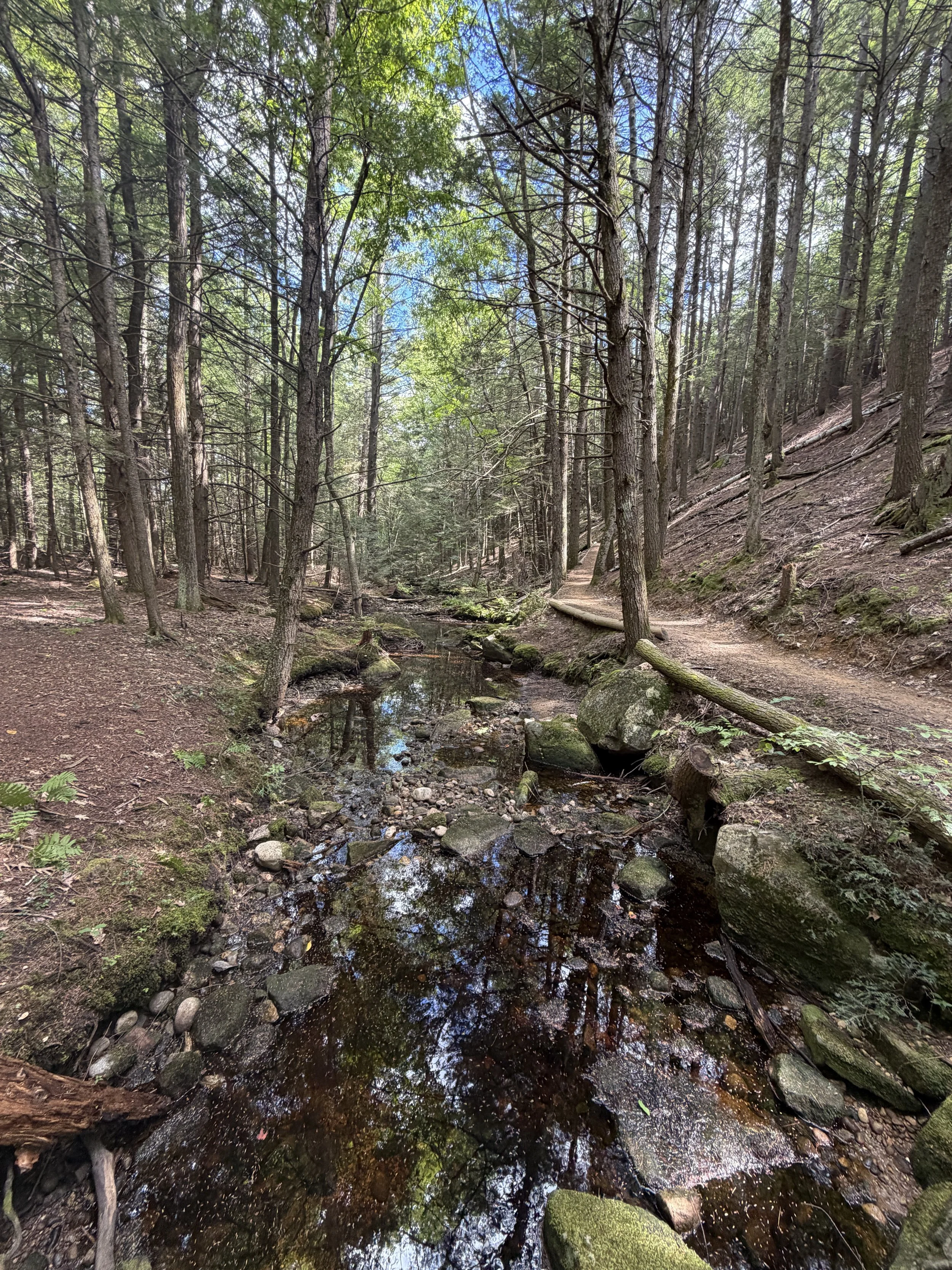 Bear Brook State Park 