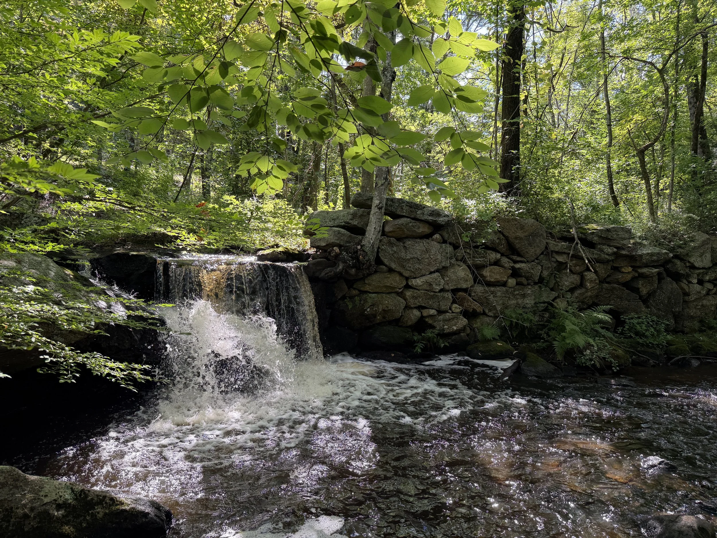 Furnace Brook Falls 