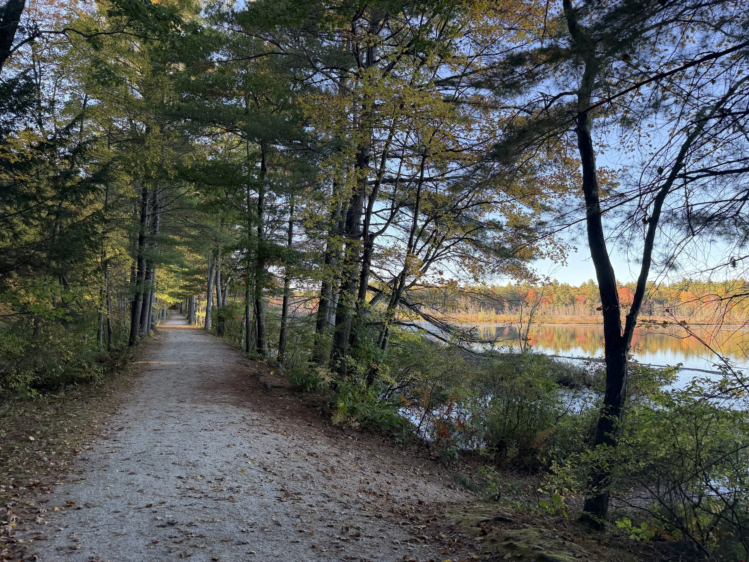 Head’s Pond 