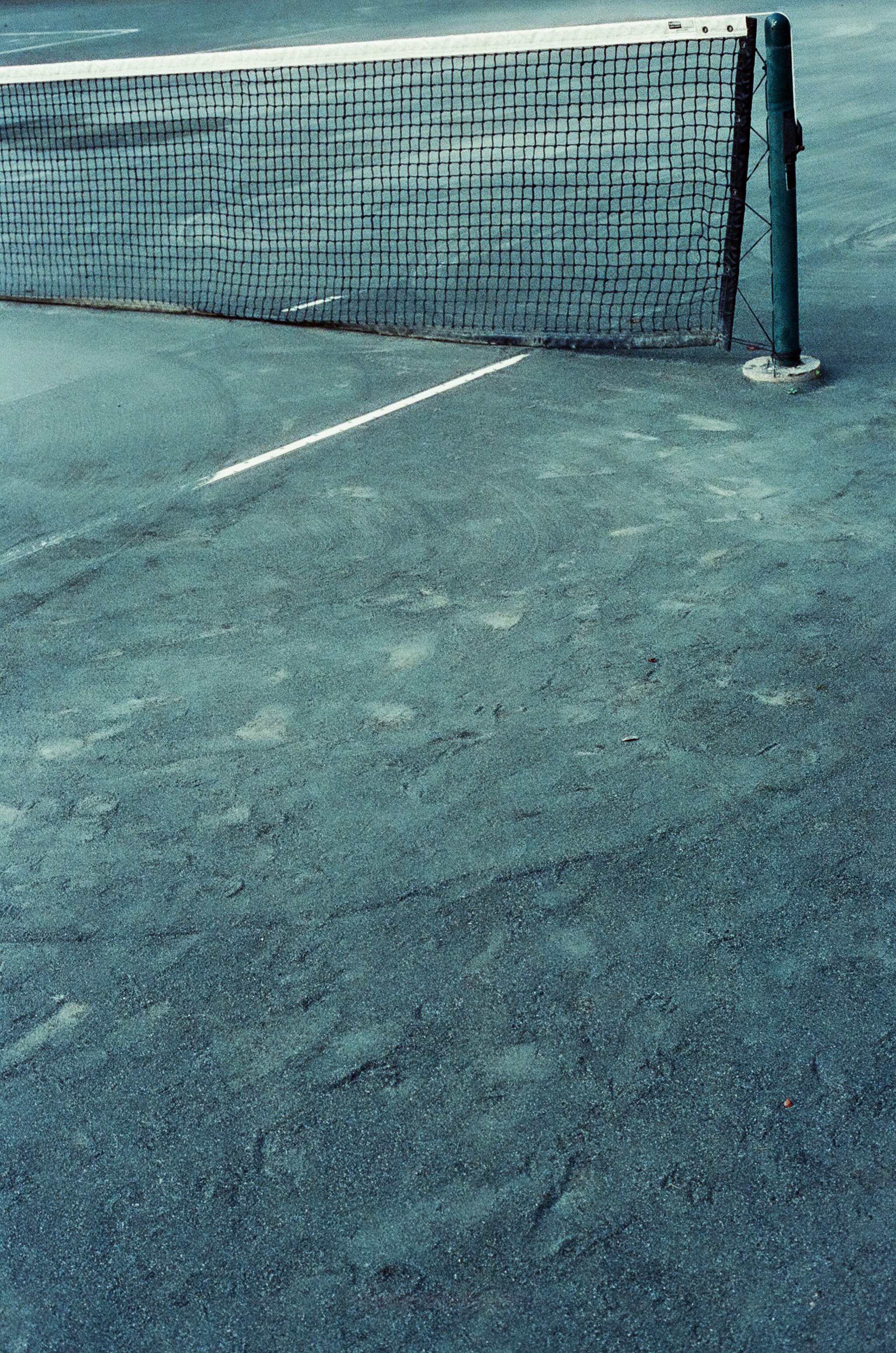C.tnns.crt.jpg