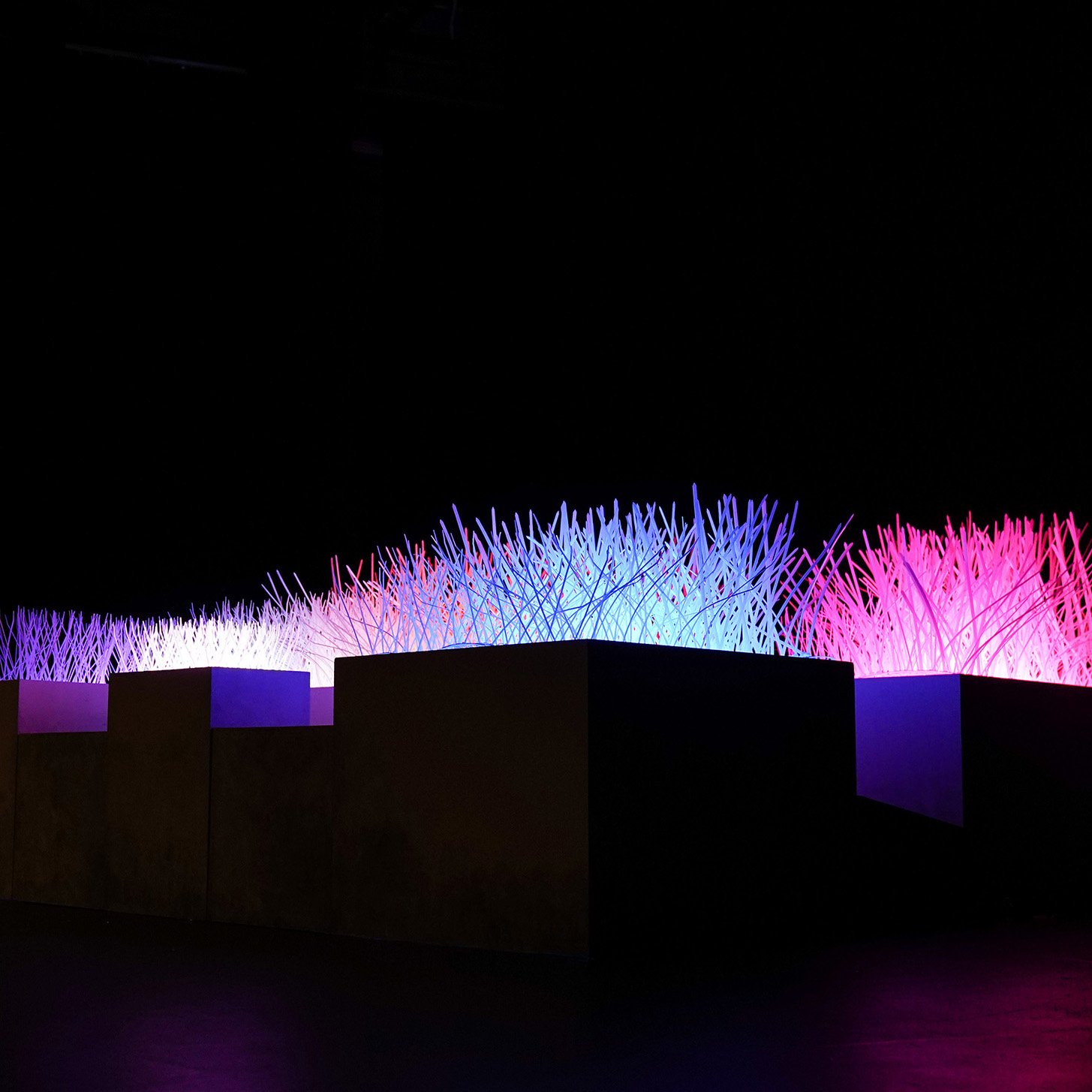 2 For Design's Sake Web.jpg