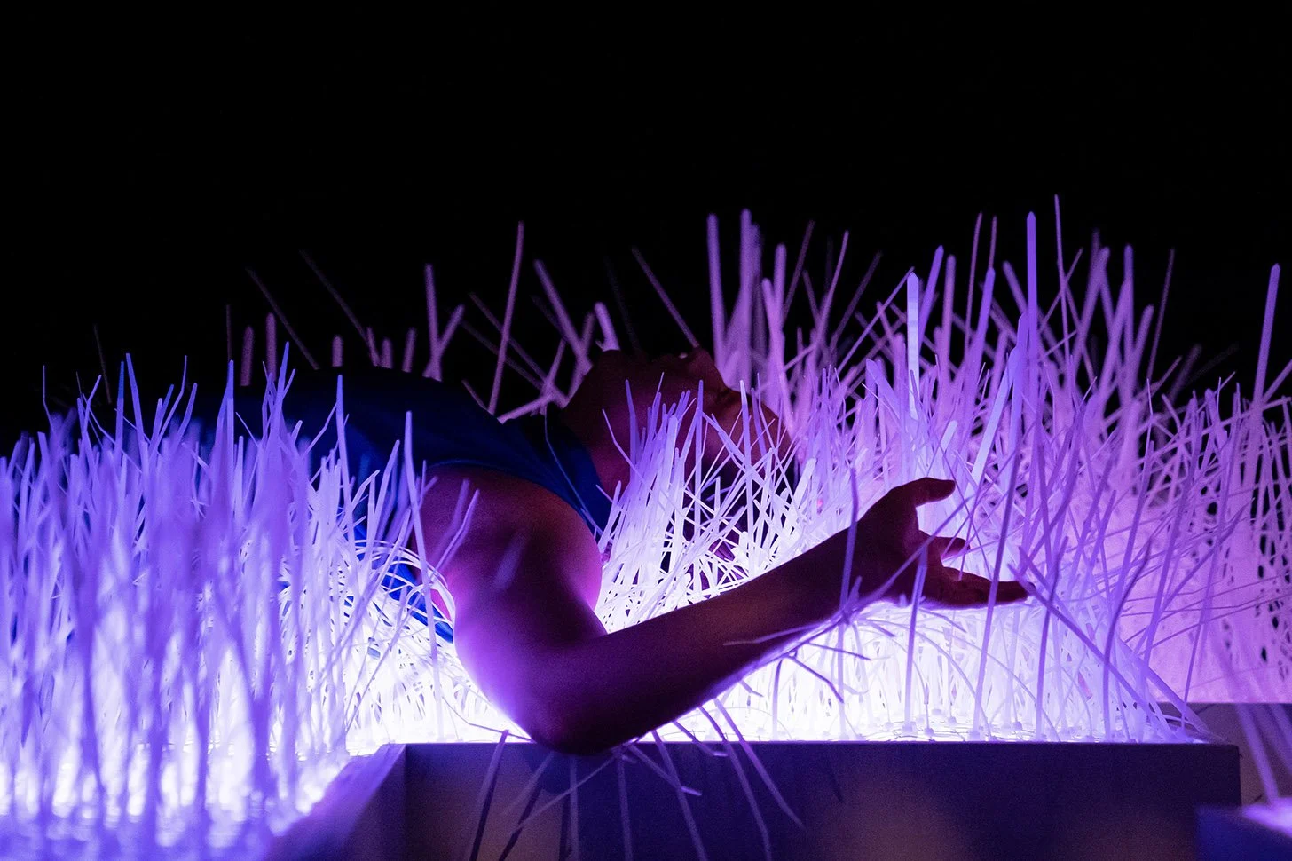 8 For Design's Sake Web.jpg