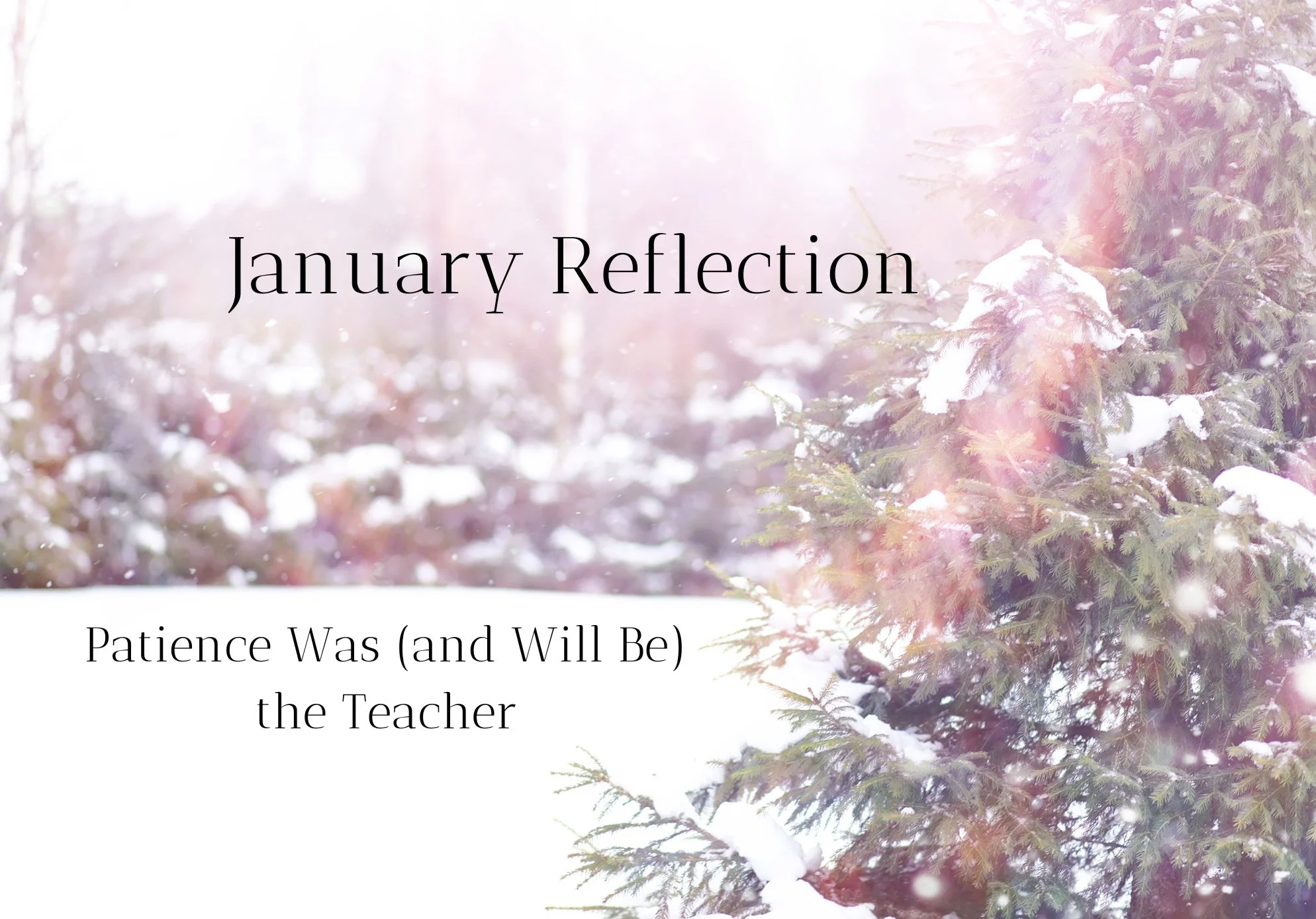 January Reflection