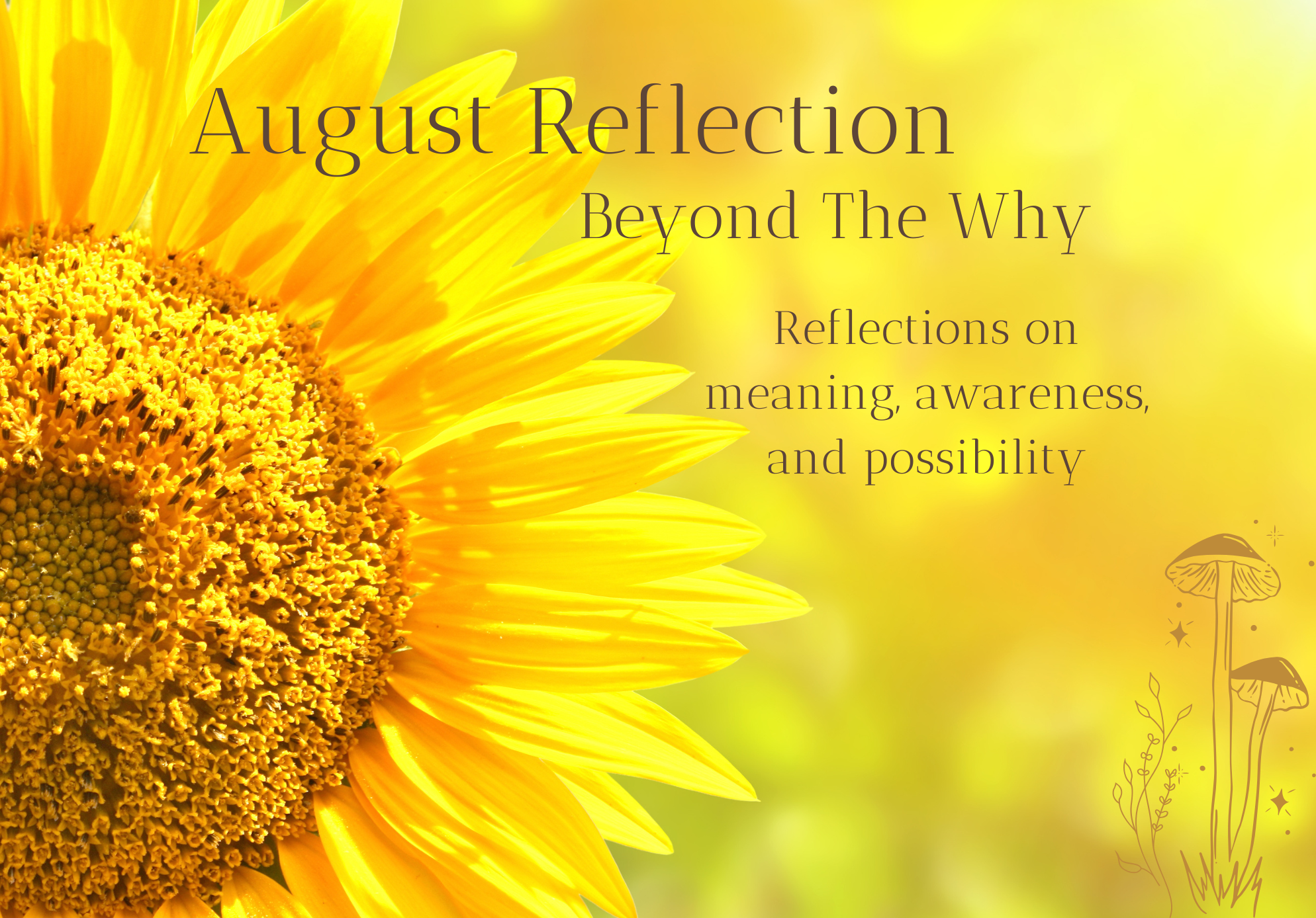 August Reflection