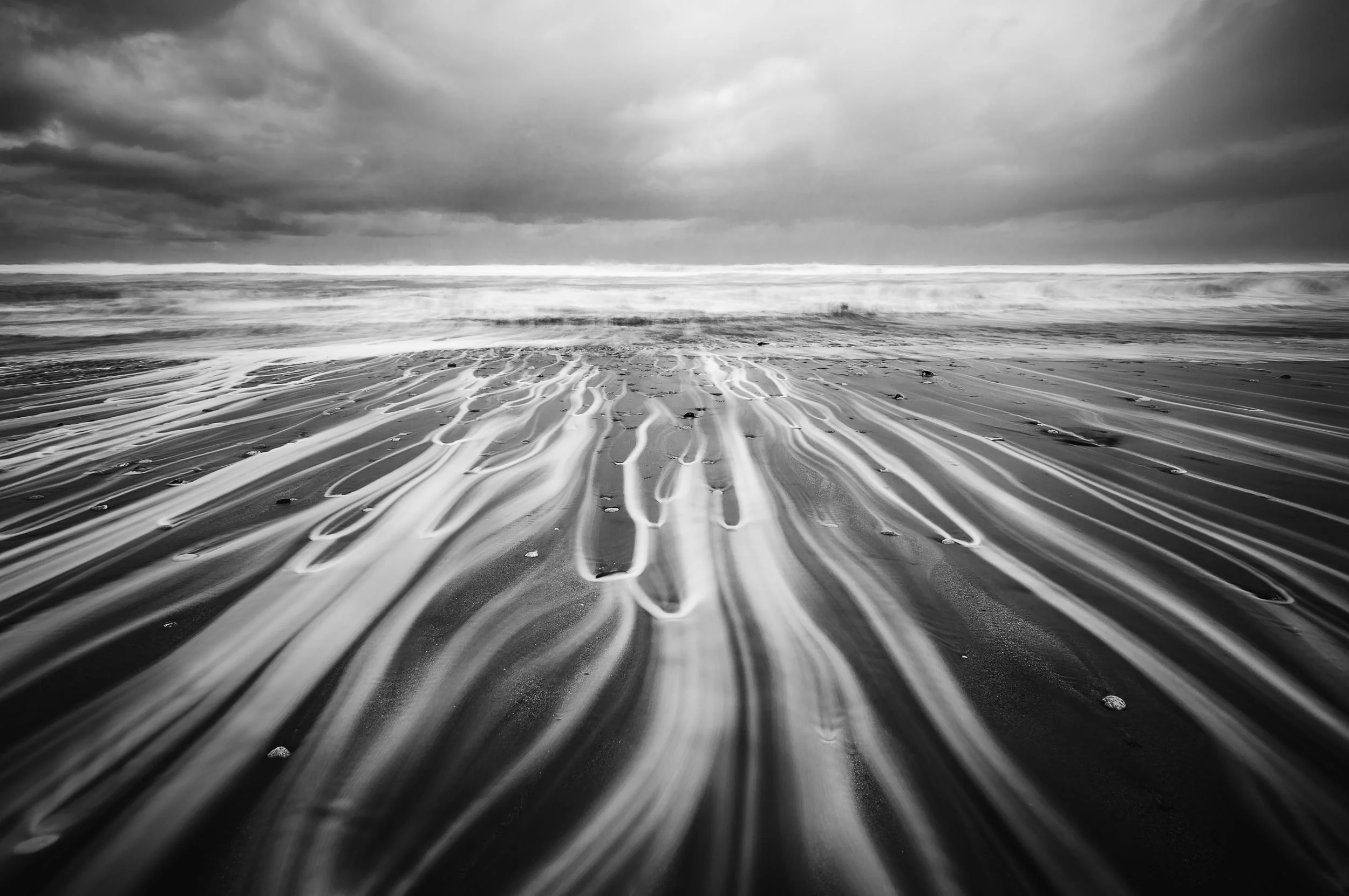 Tendrils // New Zealand
