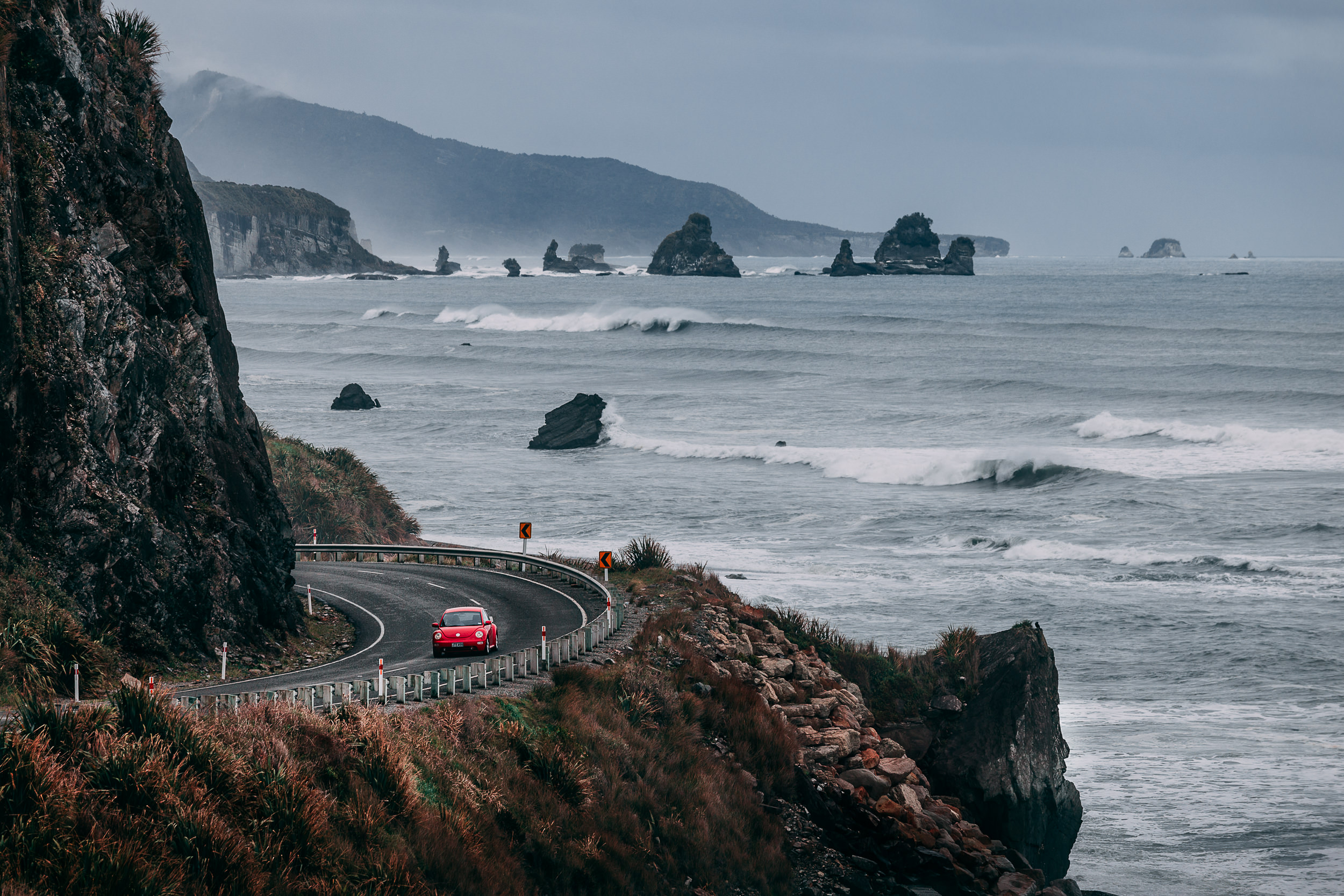 Bug Out // New Zealand