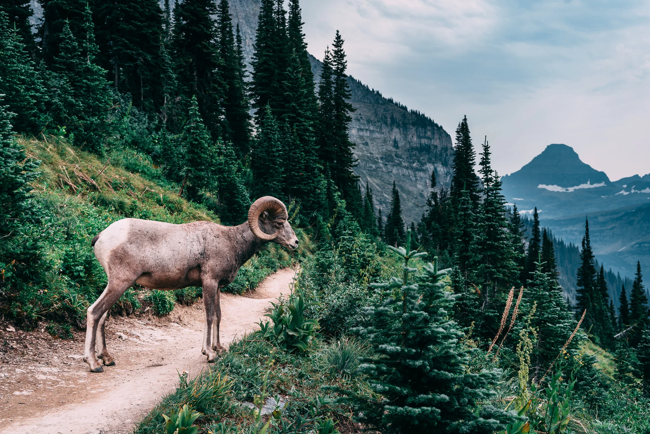 Highline Trail // Montana