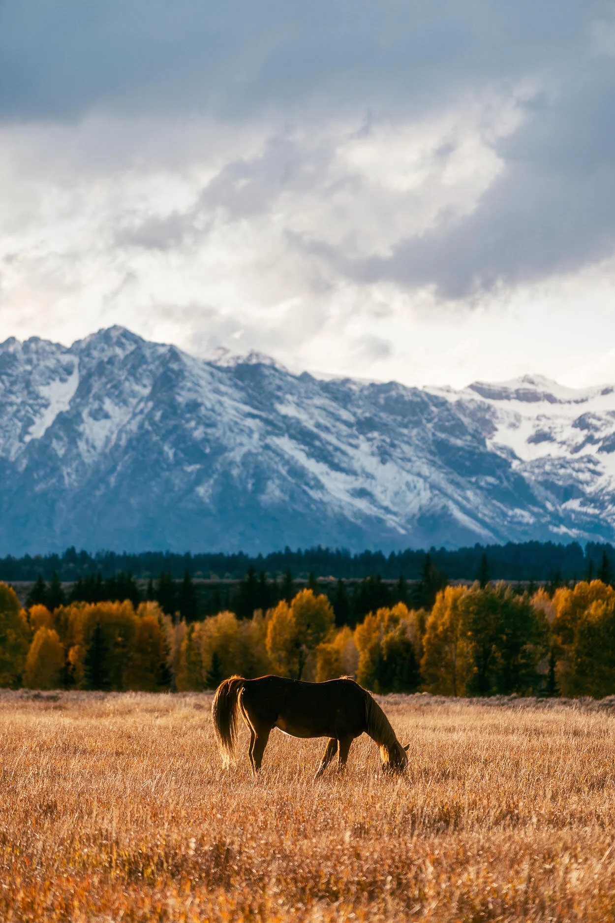 2019.10.01_Wyoming_Day_1&2-2949-Edit.jpg