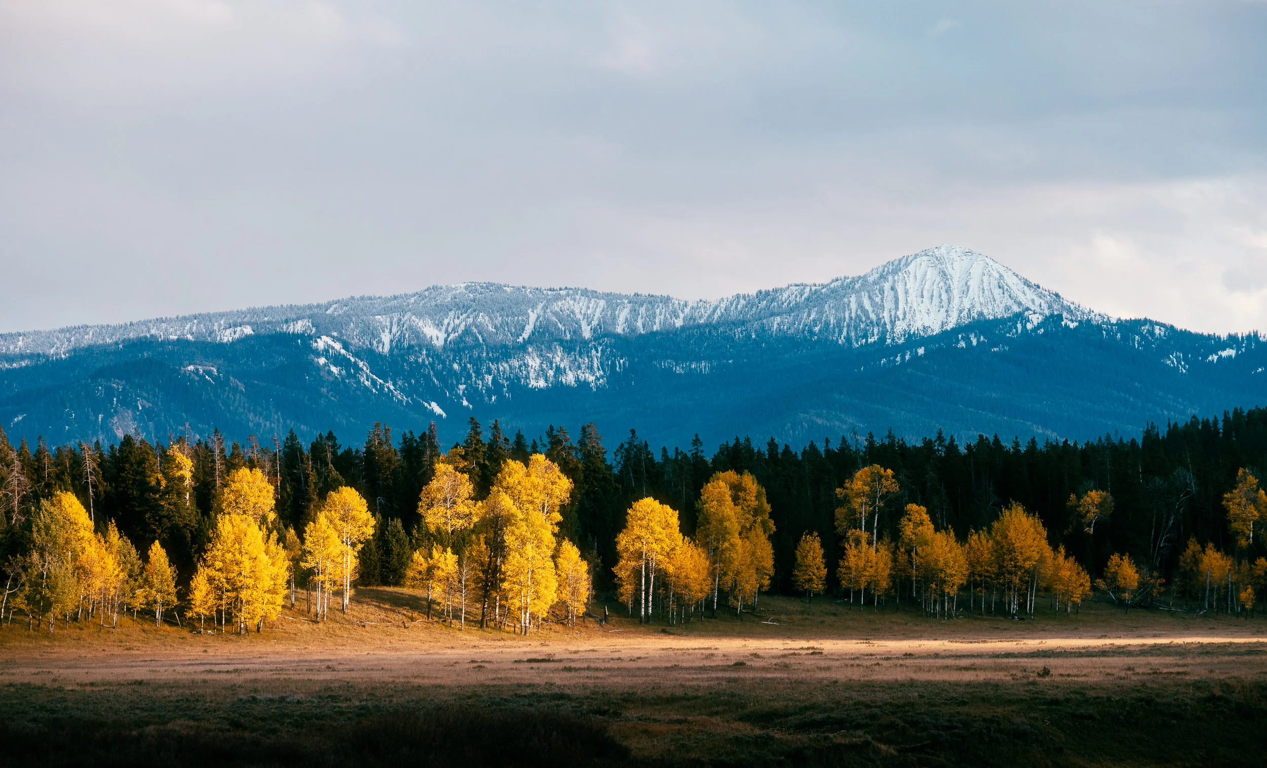 Spotlight // Wyoming