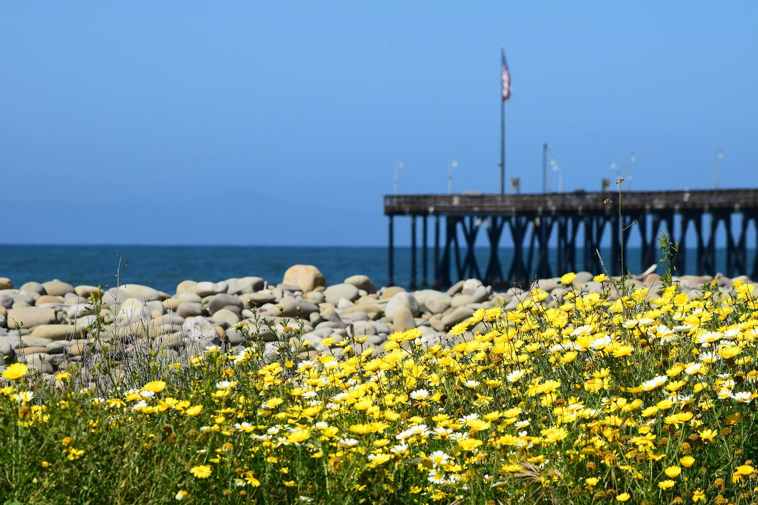 Unveiling Ventura County: Where California's Coastal Magic Resides