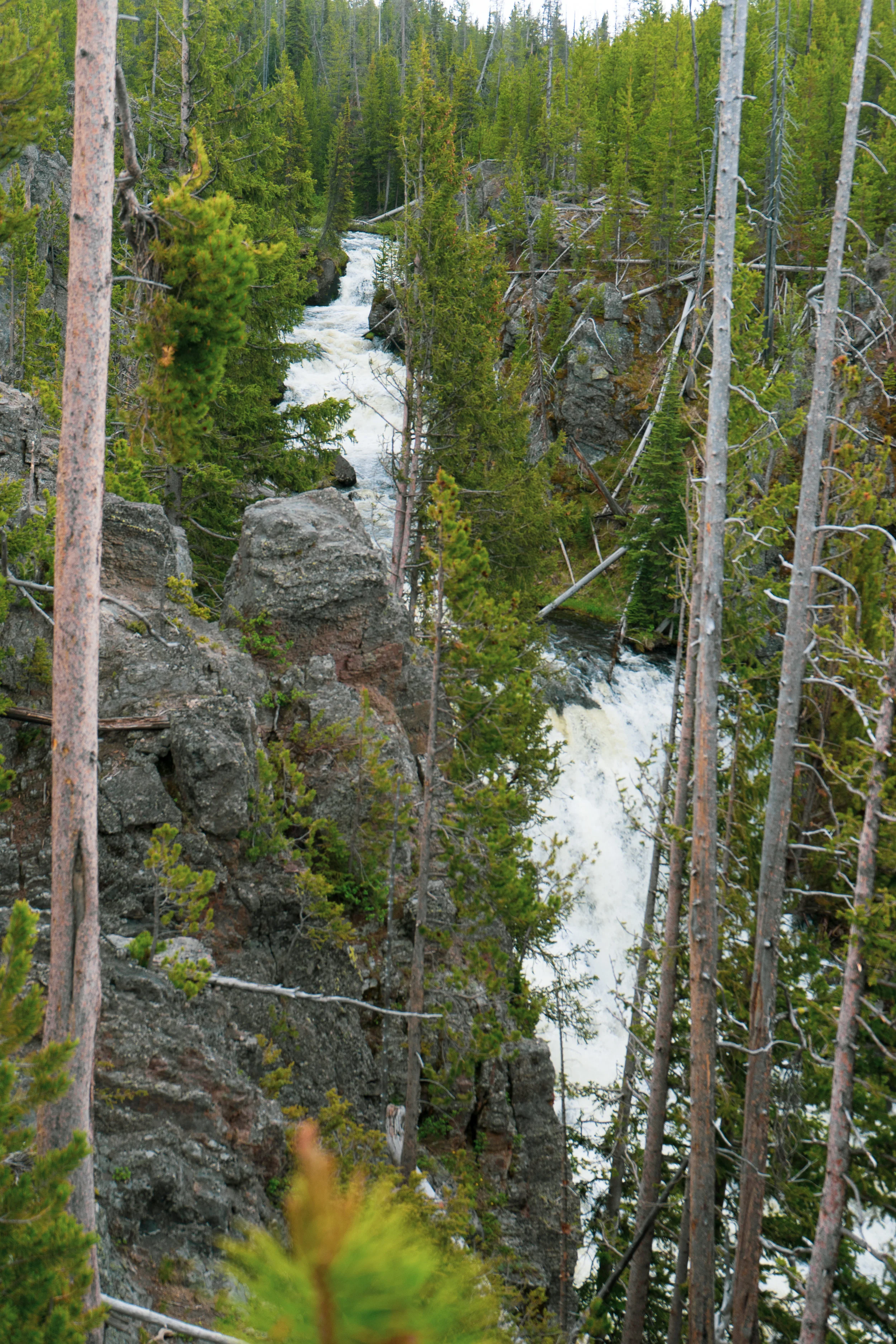 DSC04460.jpg