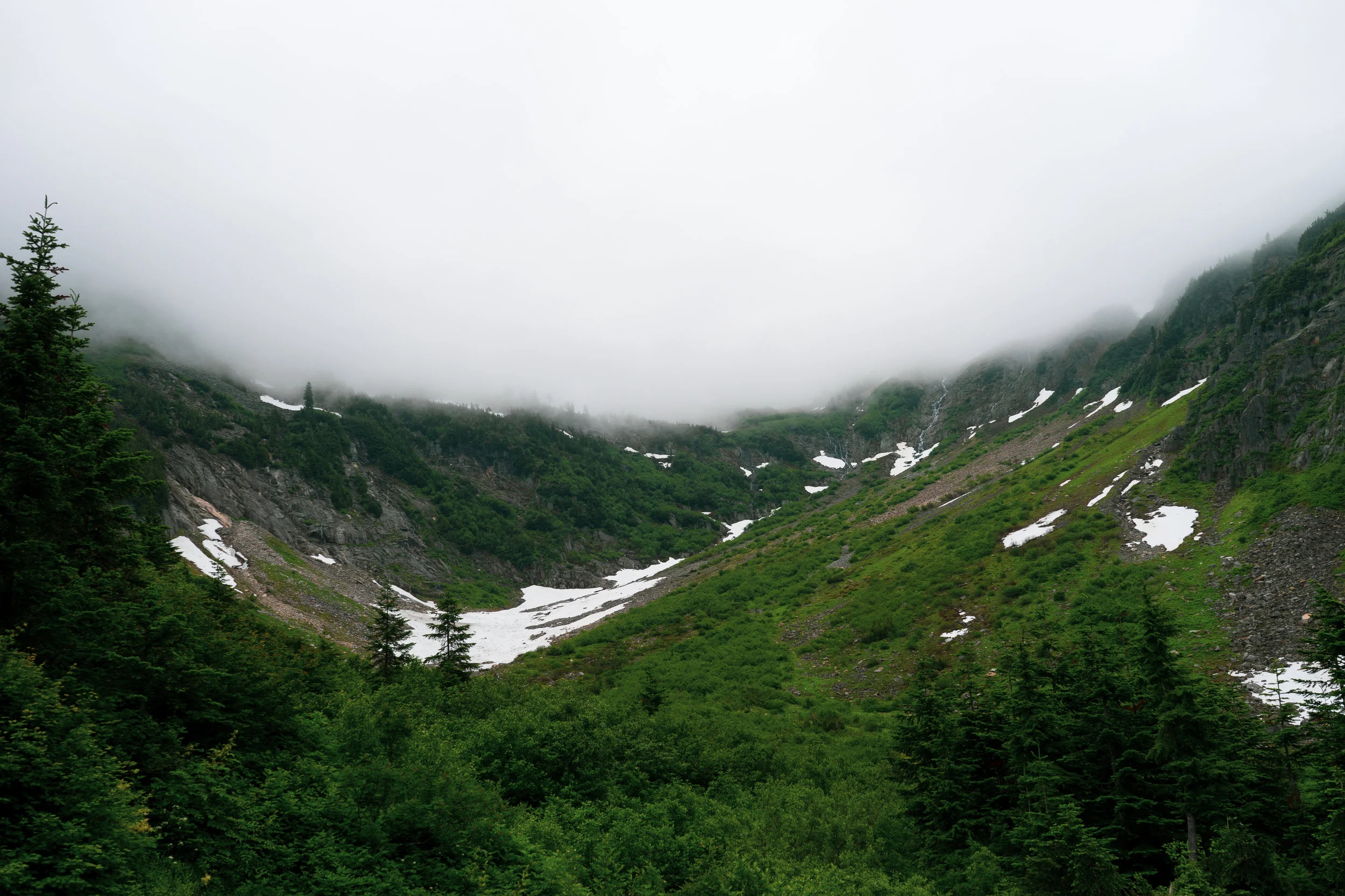 DSC04882.jpg